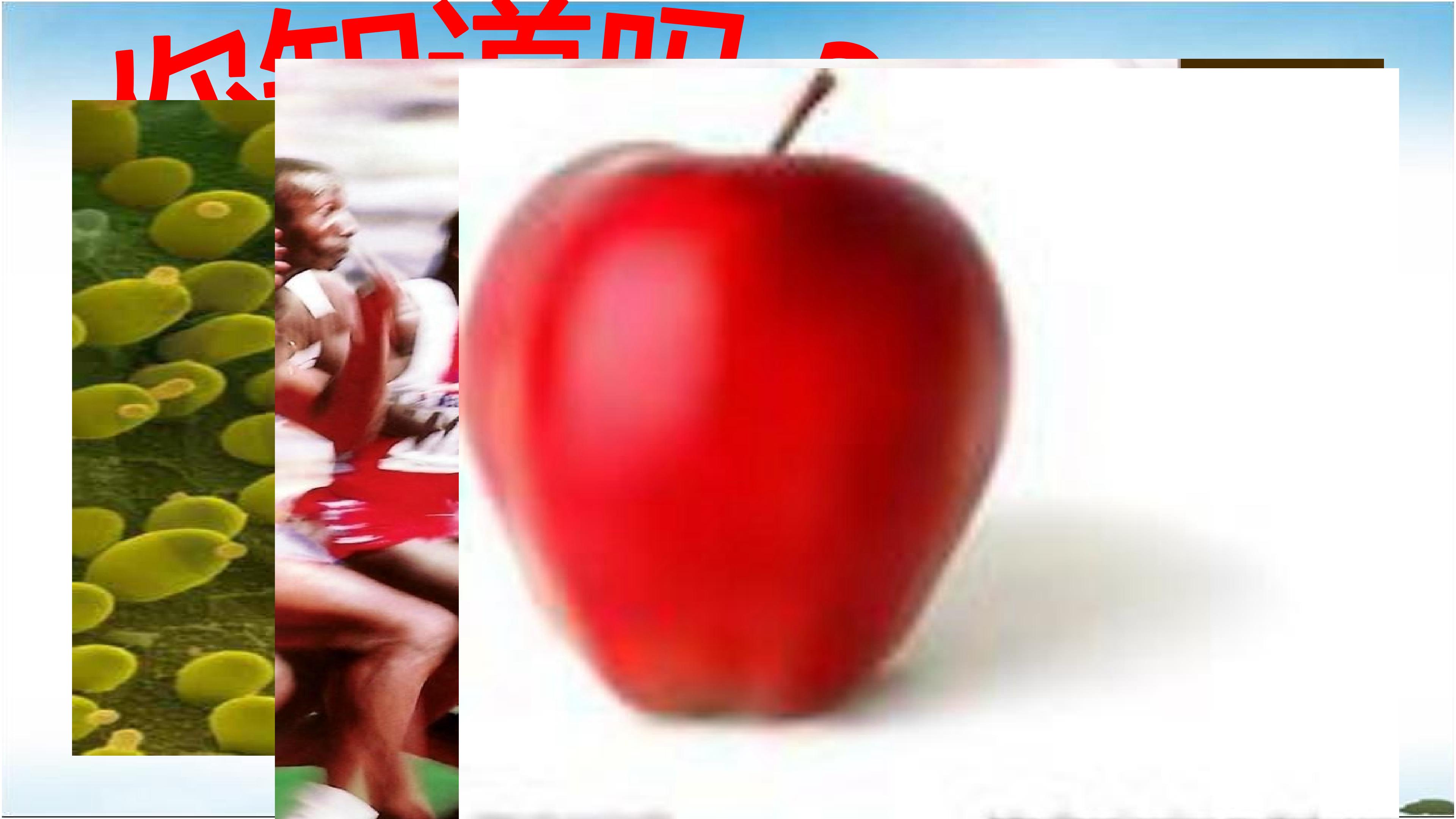 15.jpg