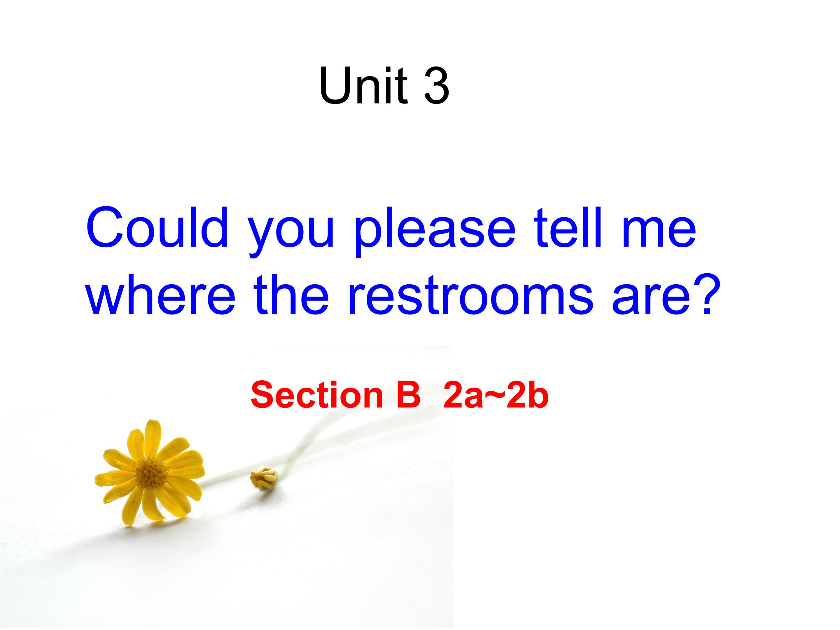 Could you tell me the restrooms are ?