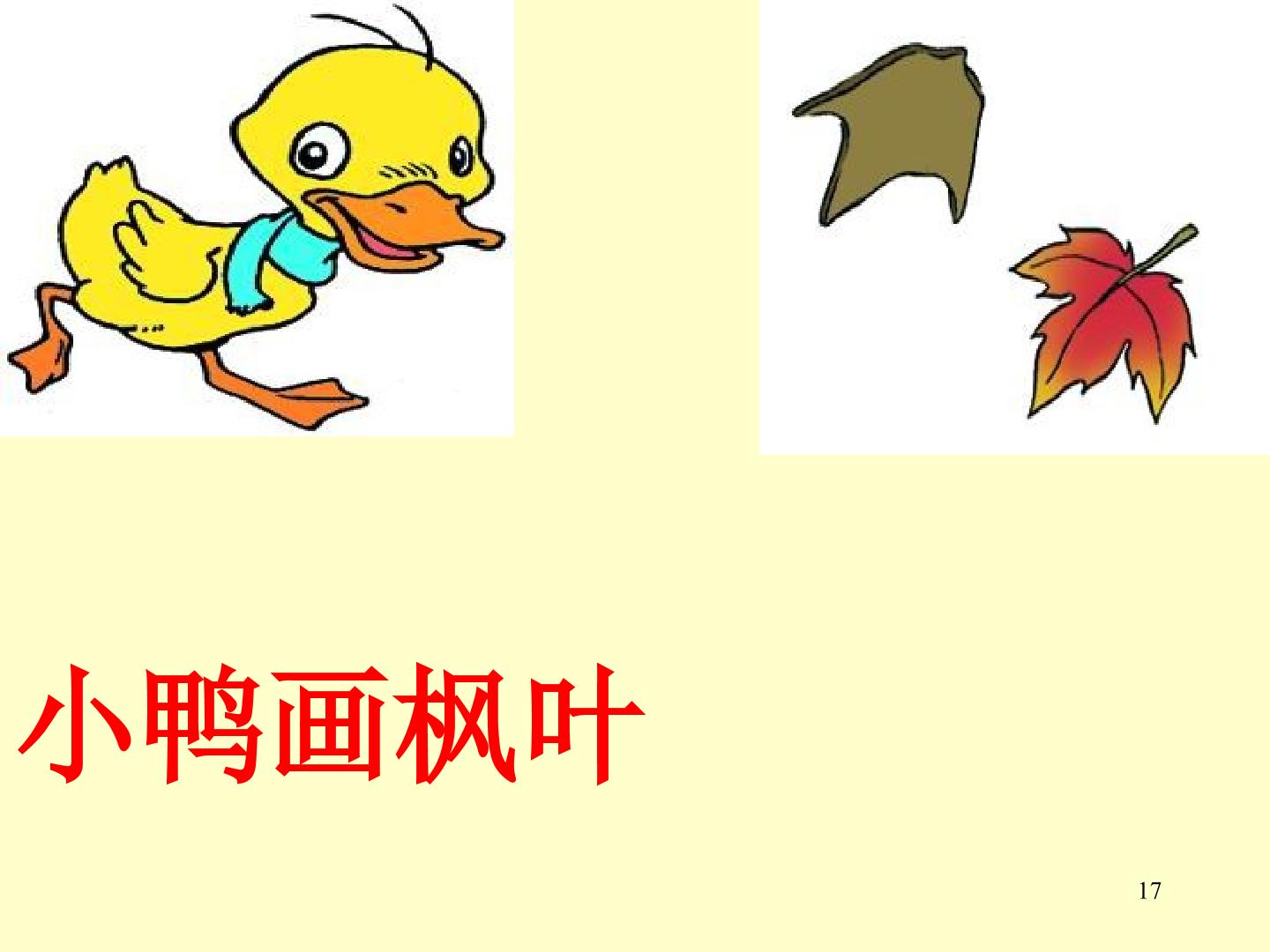 17.jpg