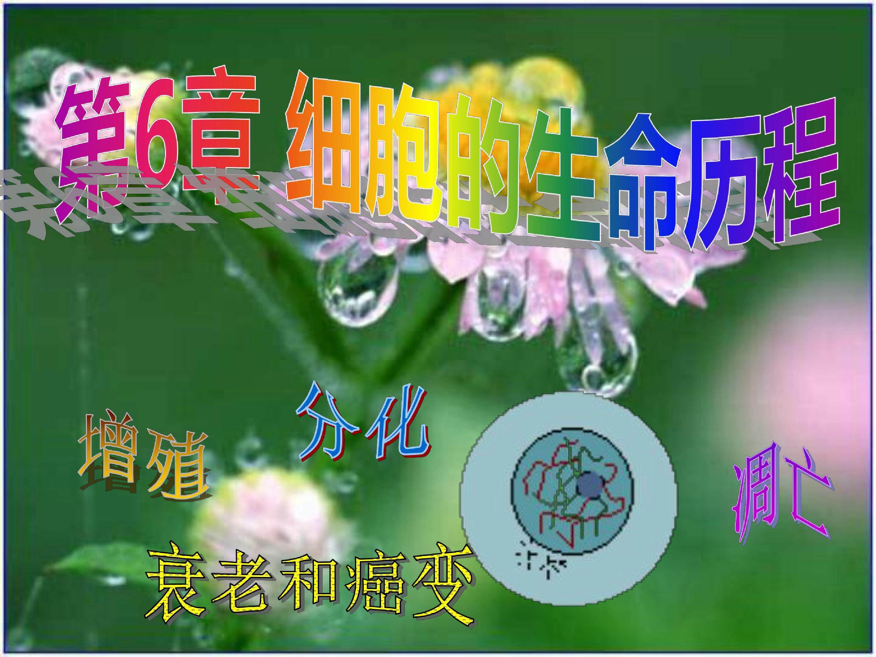 第一节  细胞的增殖