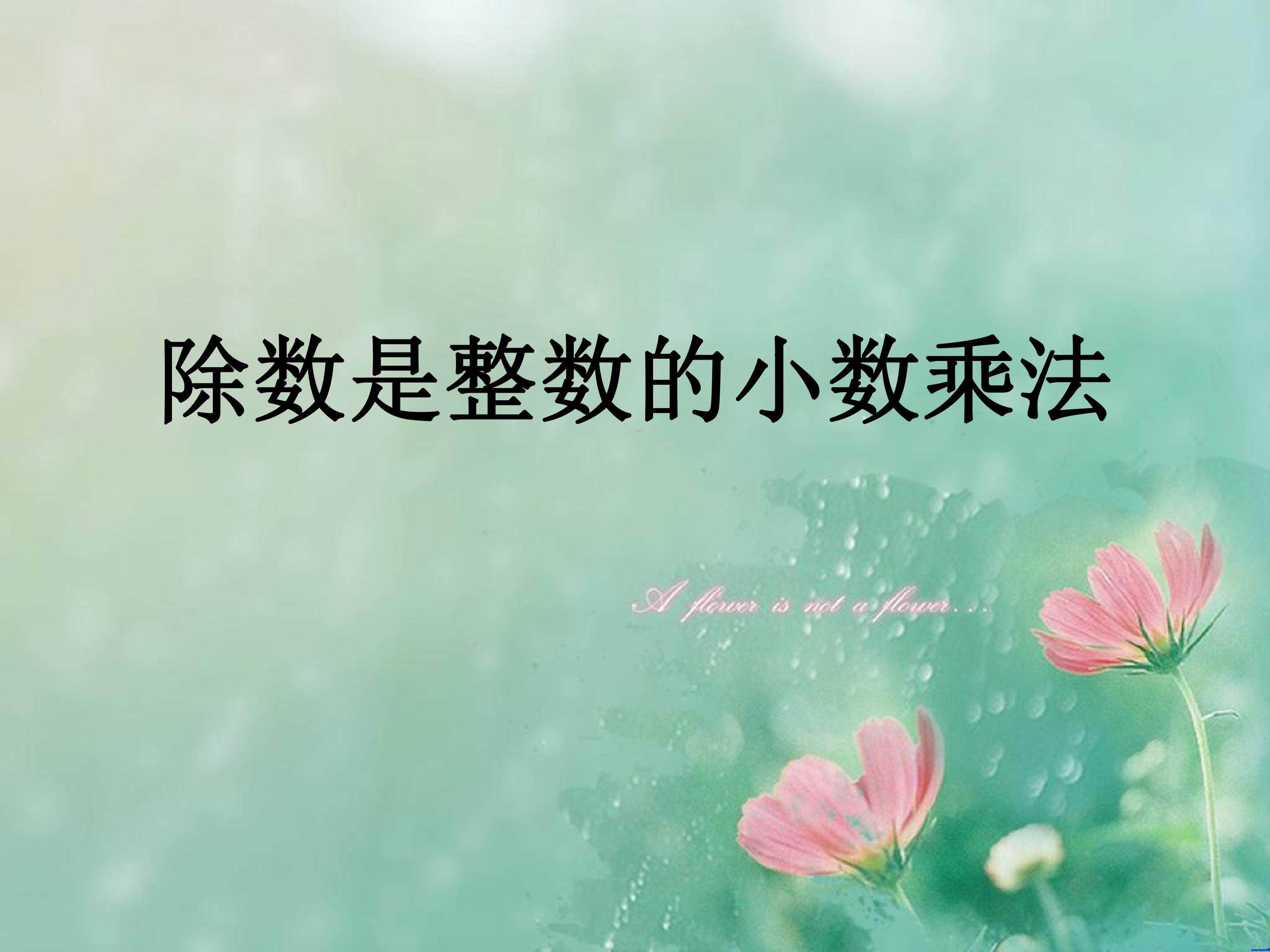 除数是整数的小数除法