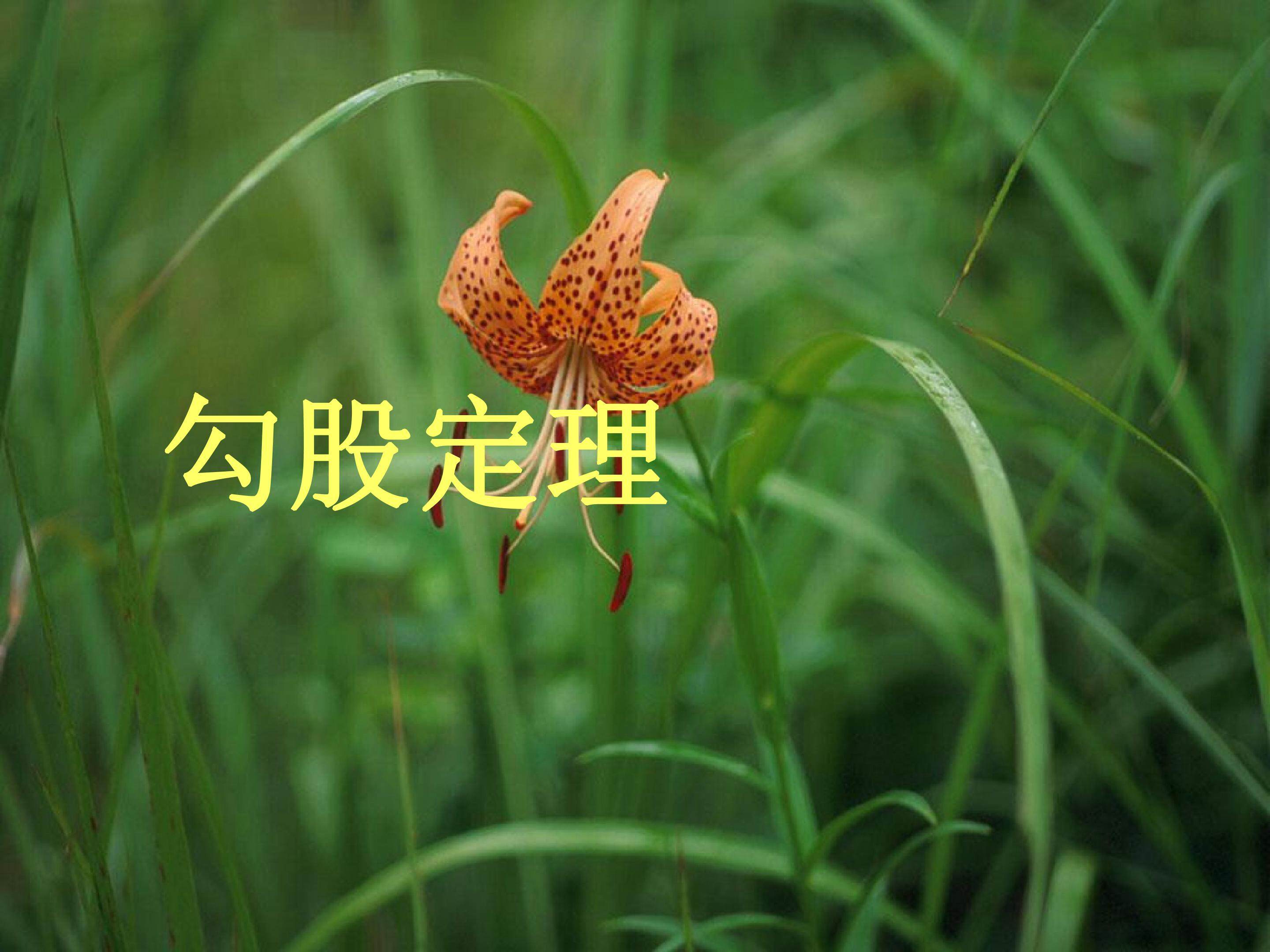 勾股定理