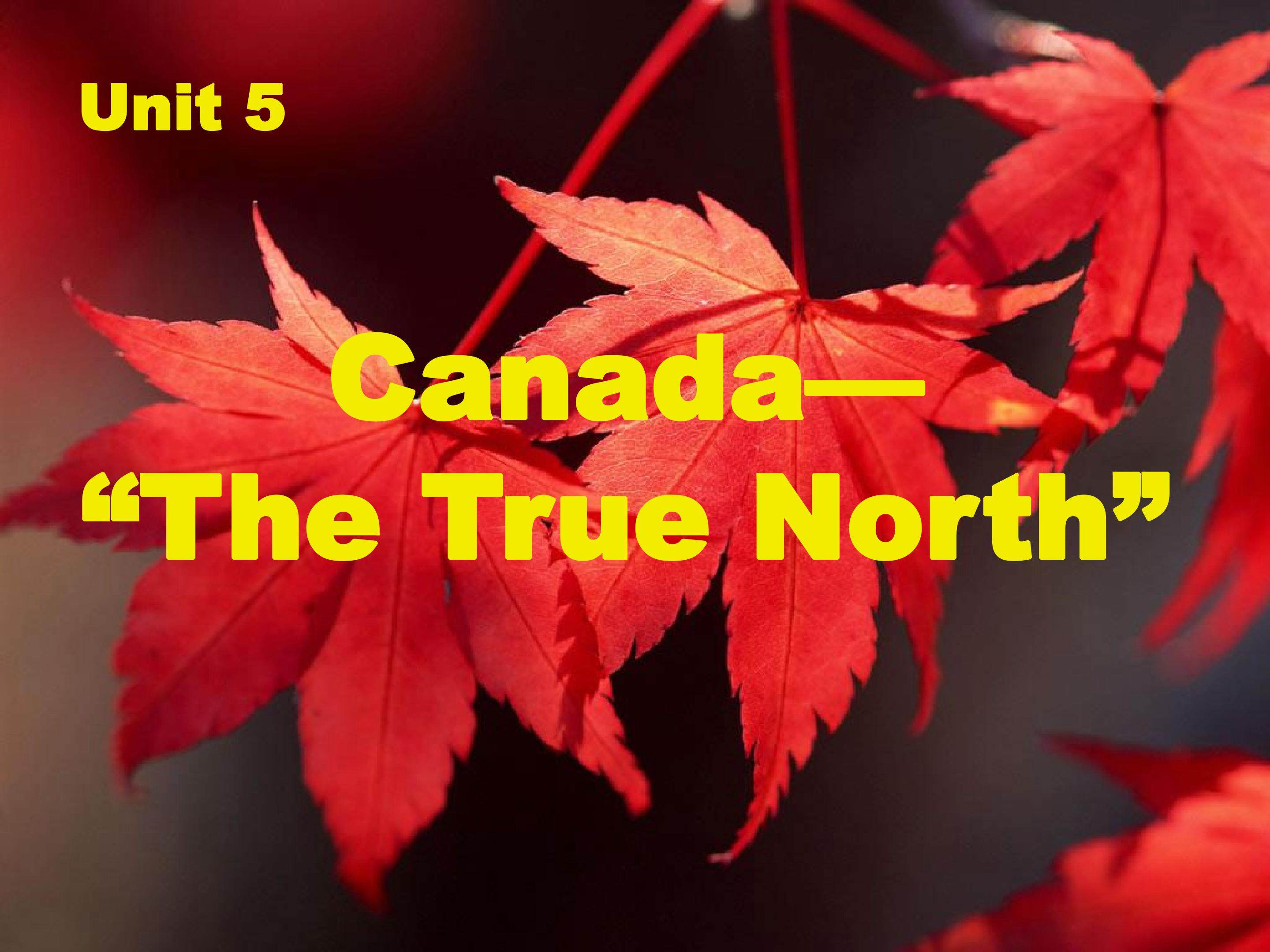 B3U5Canada the true north reading