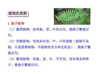 尝试对生物进行分类5