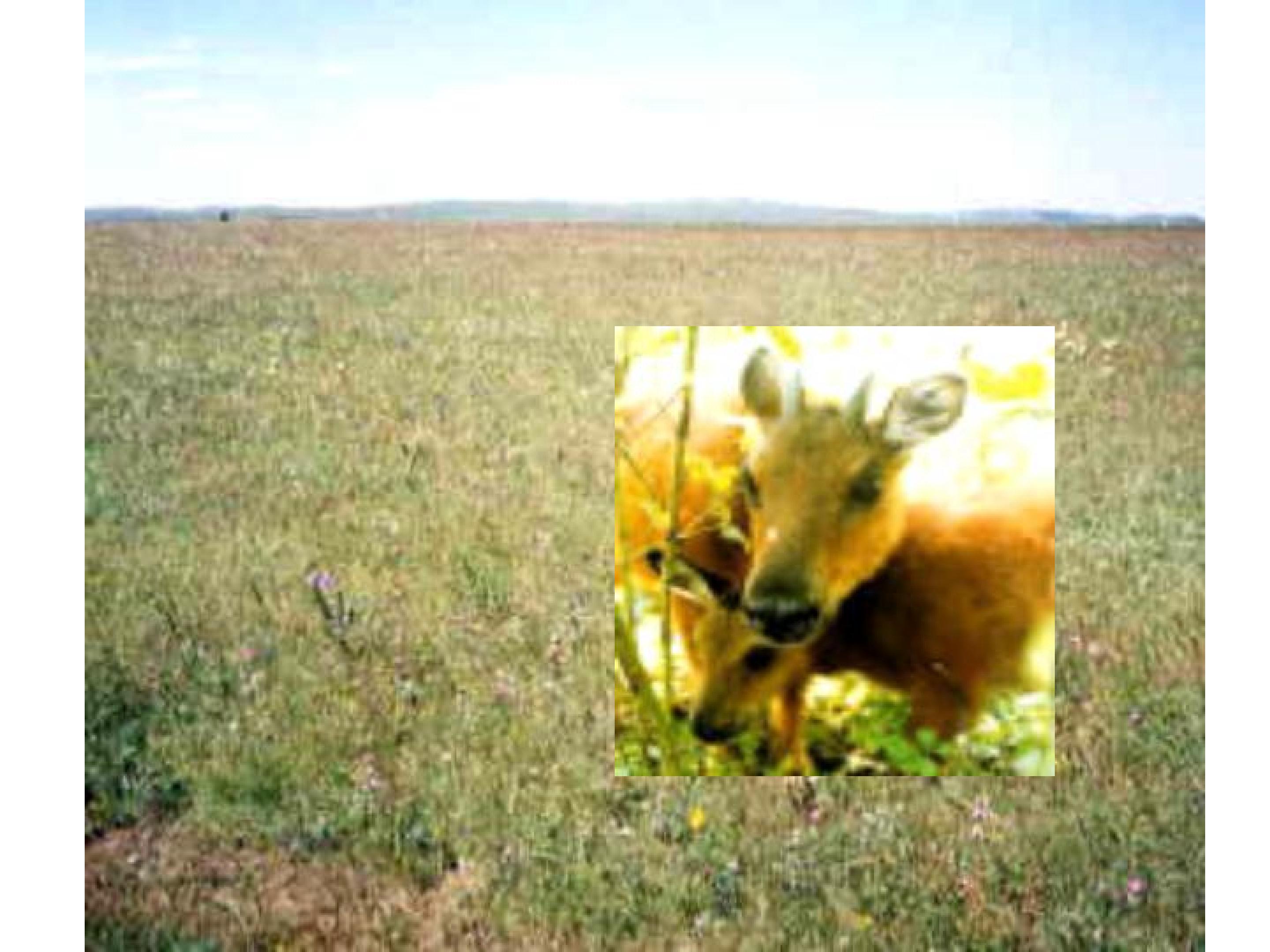 49.jpg
