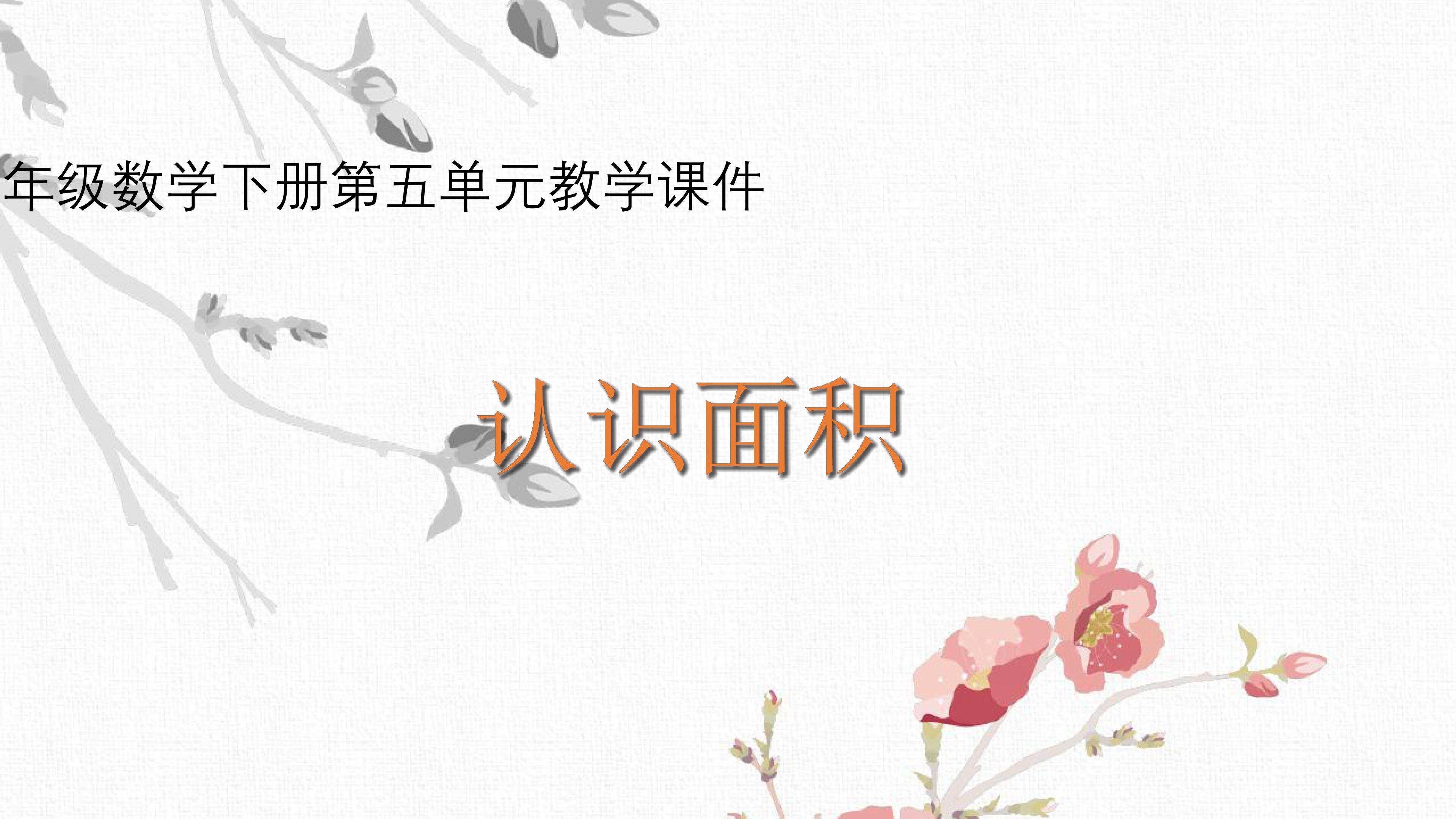 认识面积