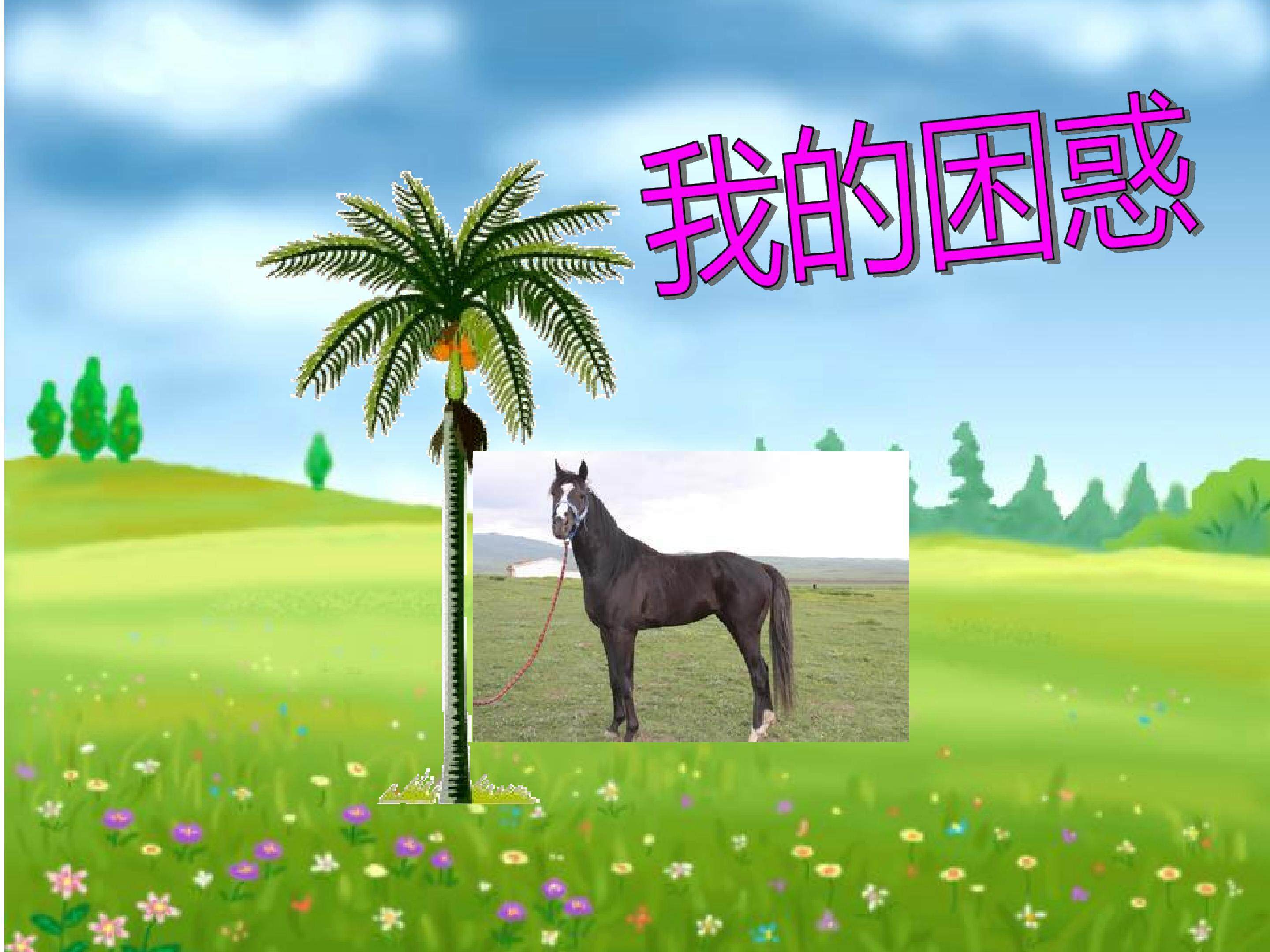 圆的面积