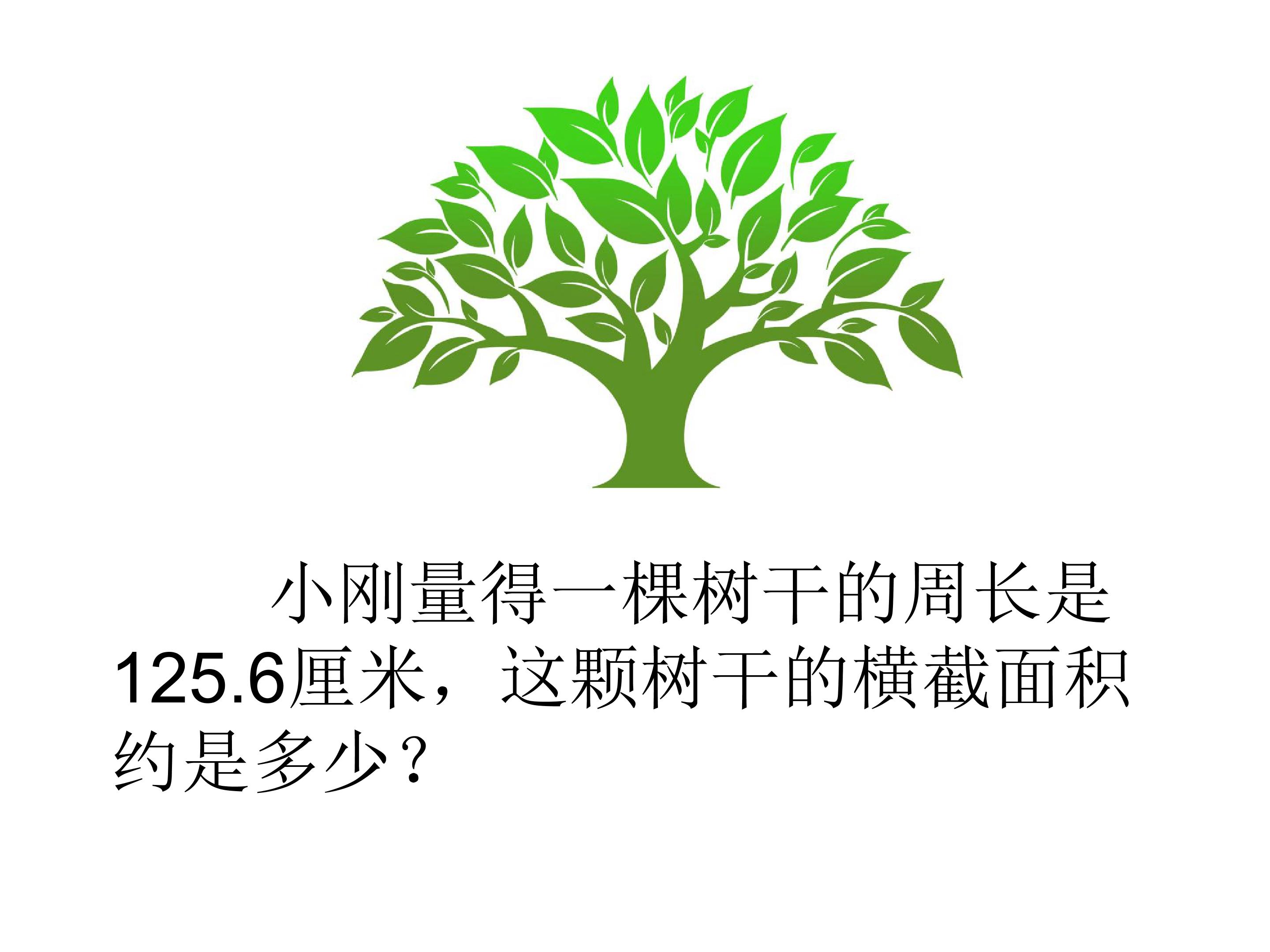 144.jpg