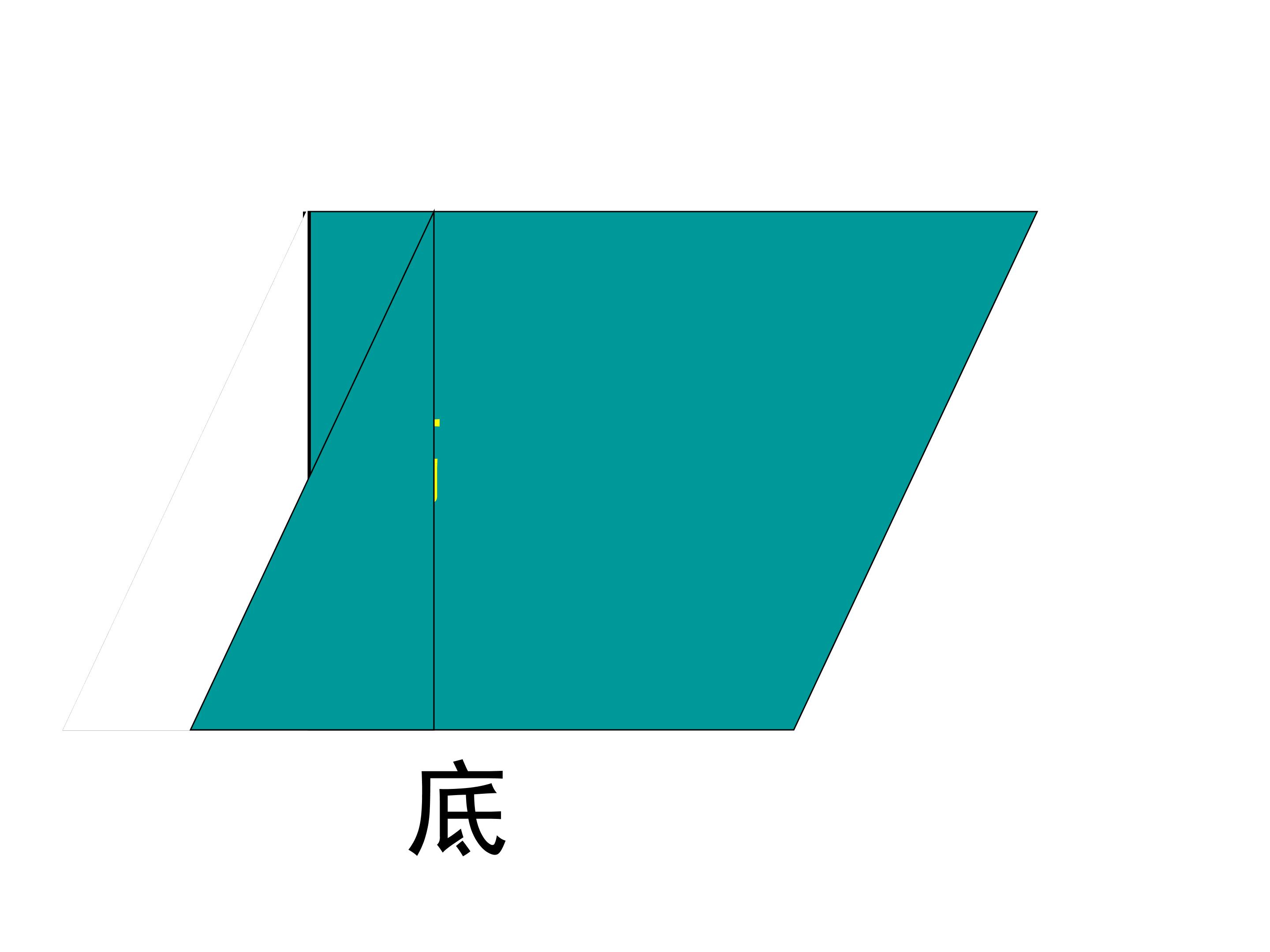 49.jpg