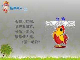 小公鸡和小鸭子