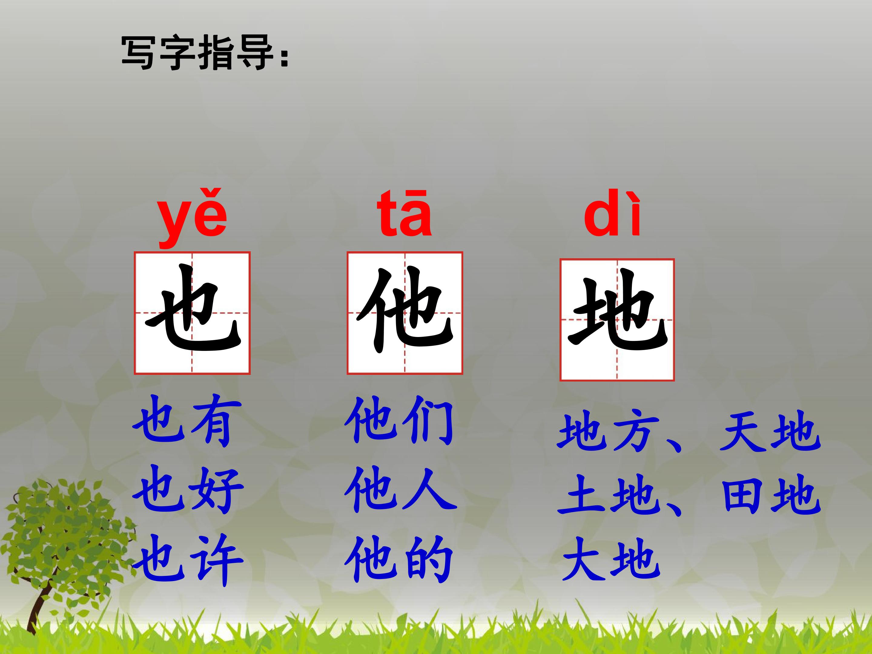 18.jpg