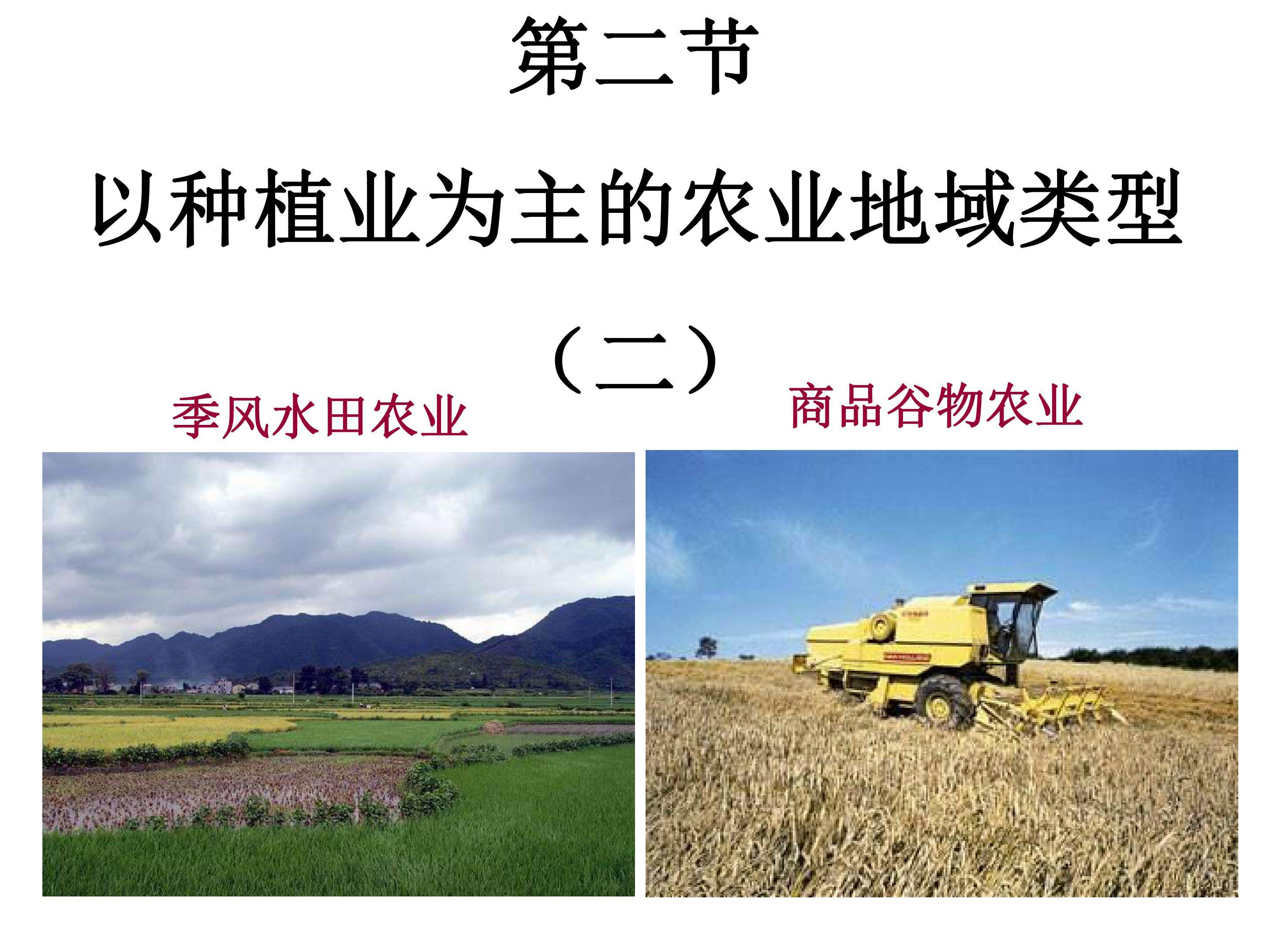以种植业为主的农业地域类型