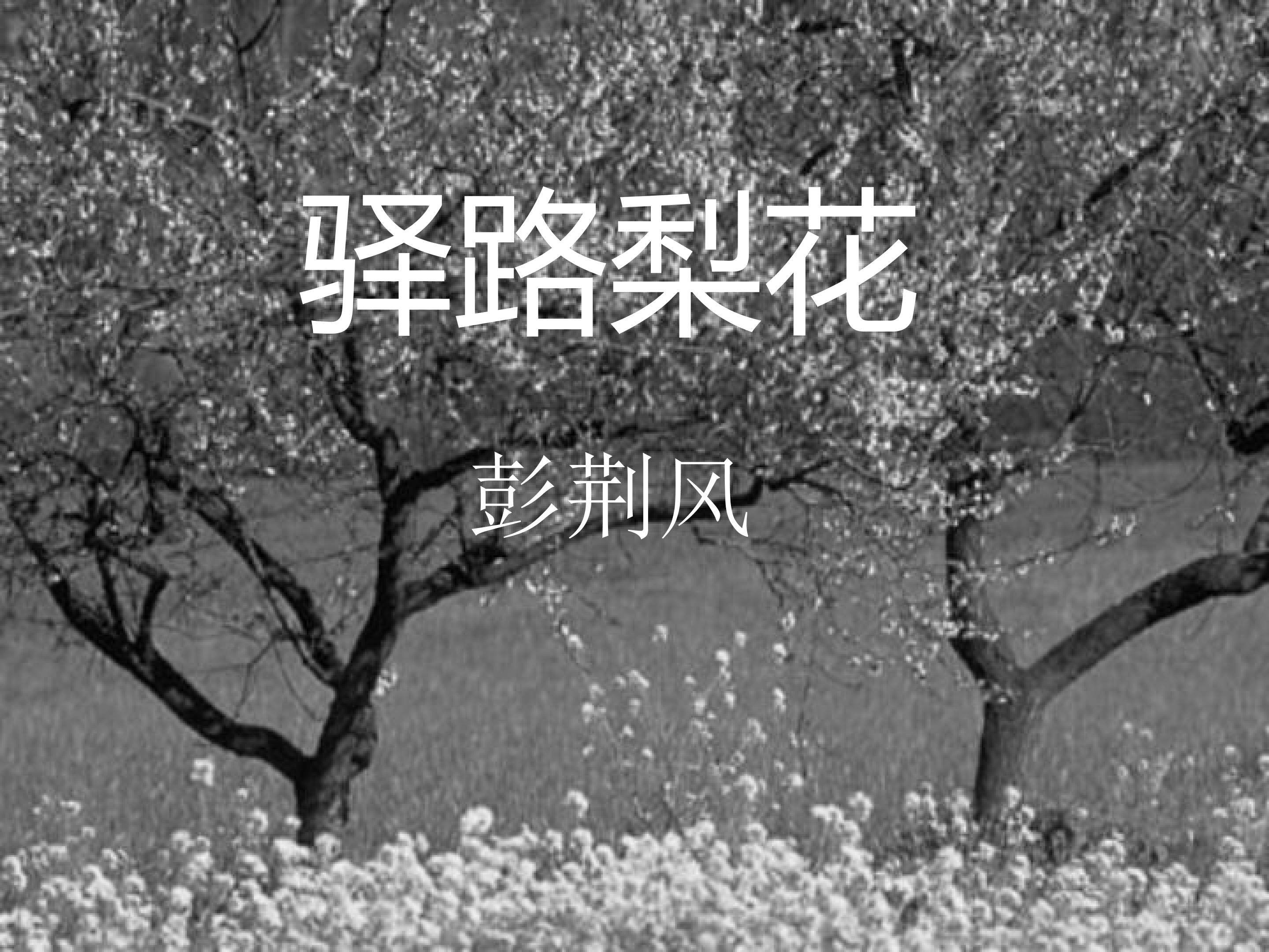 驿路梨花