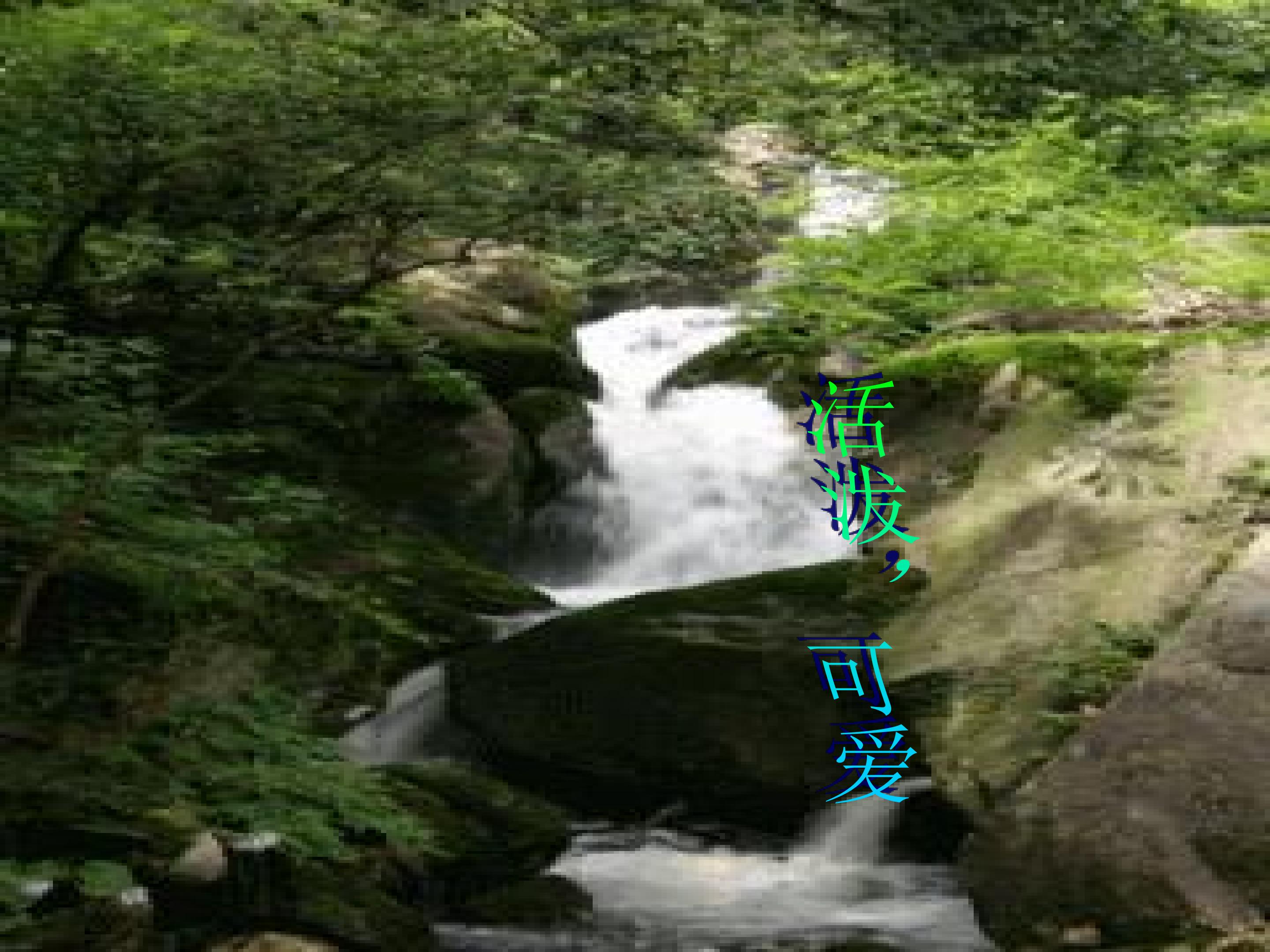 25.jpg
