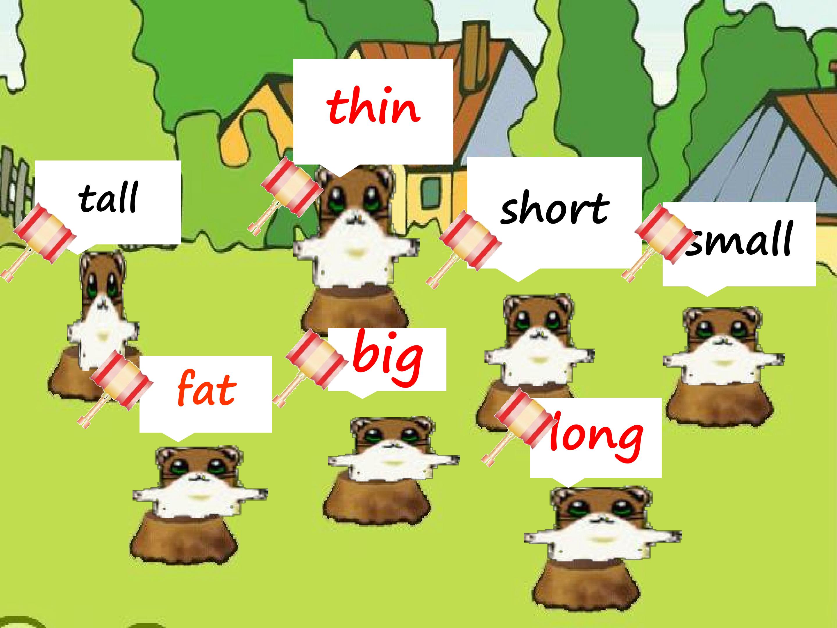 14.jpg