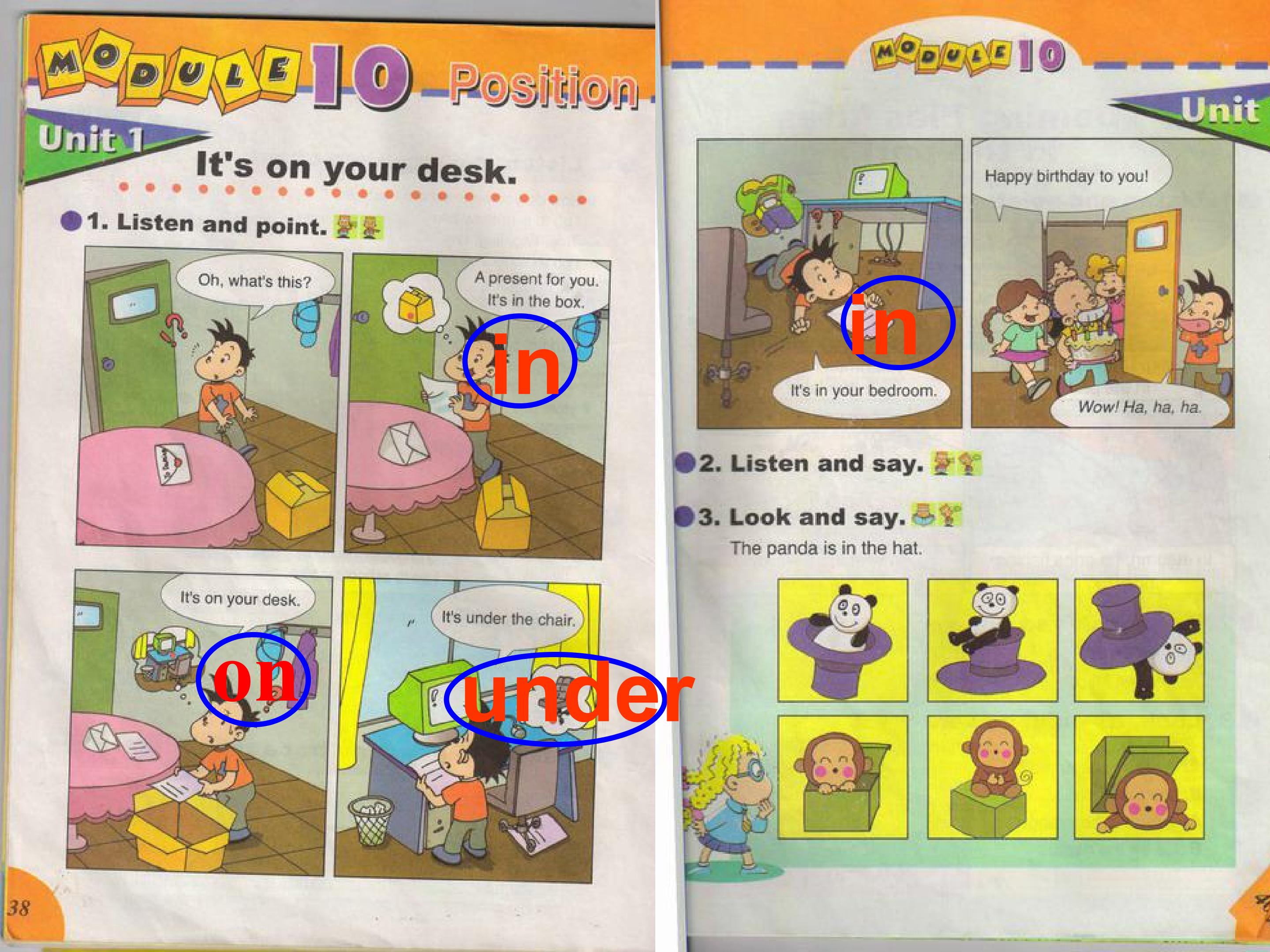 13.jpg