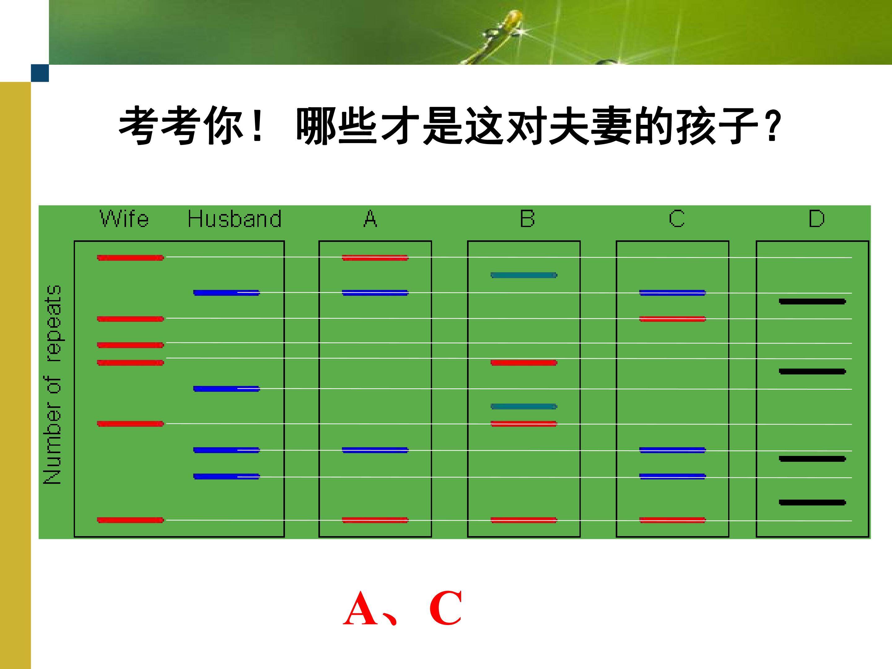 遗传信息的携带者——核酸