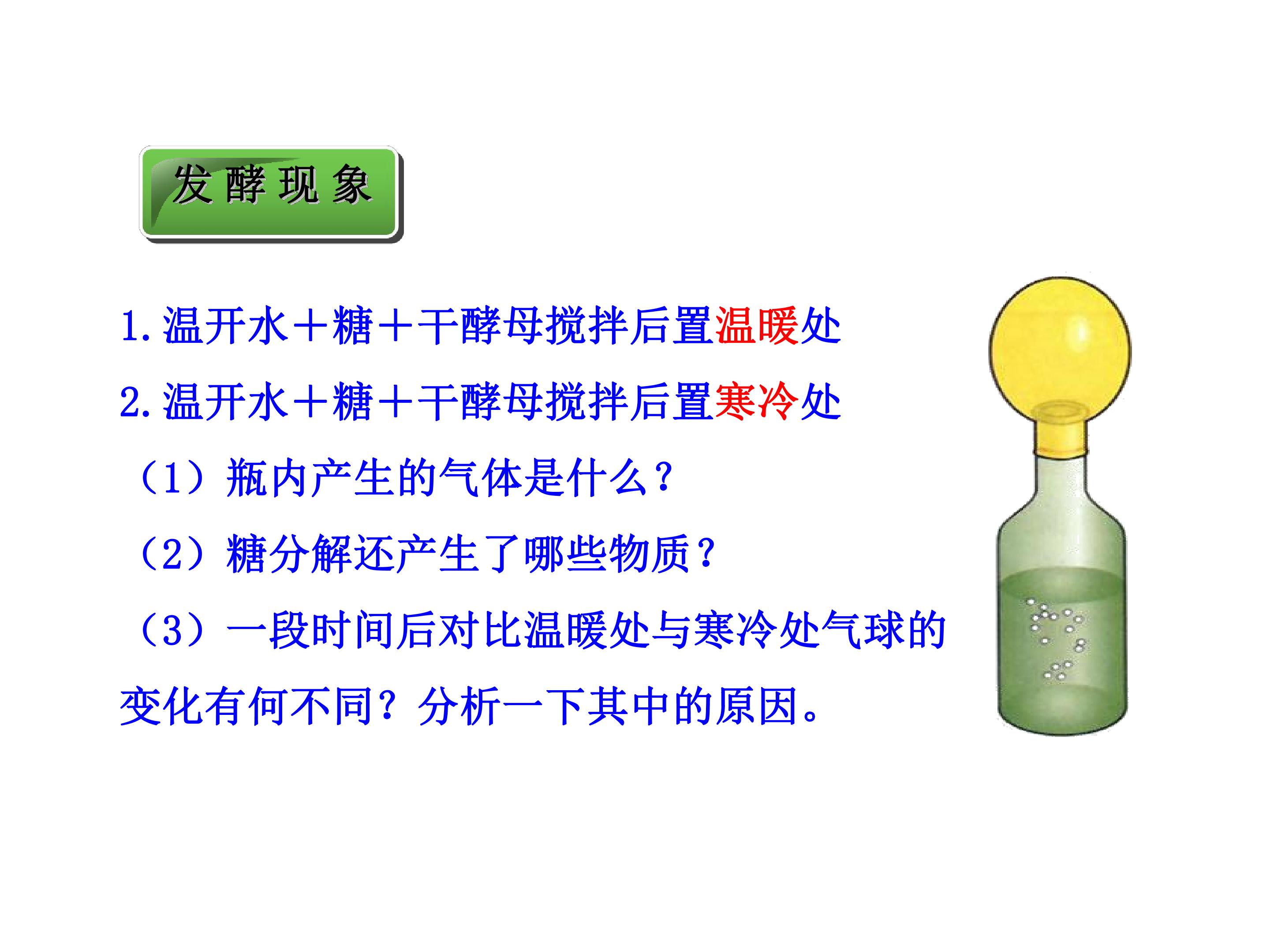 人类对细菌和真菌的利用