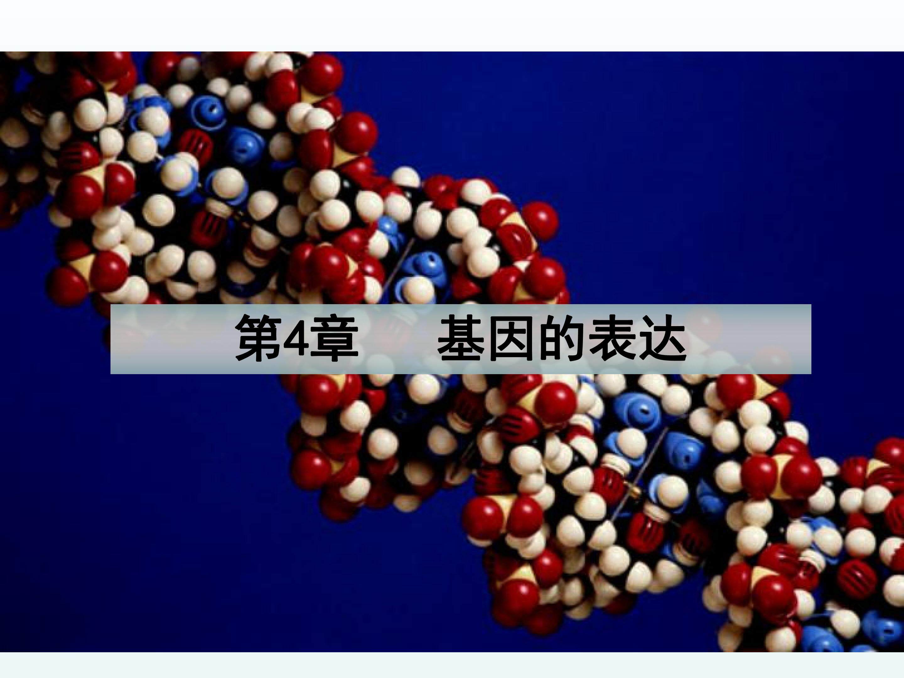 基因指导蛋白质的合成