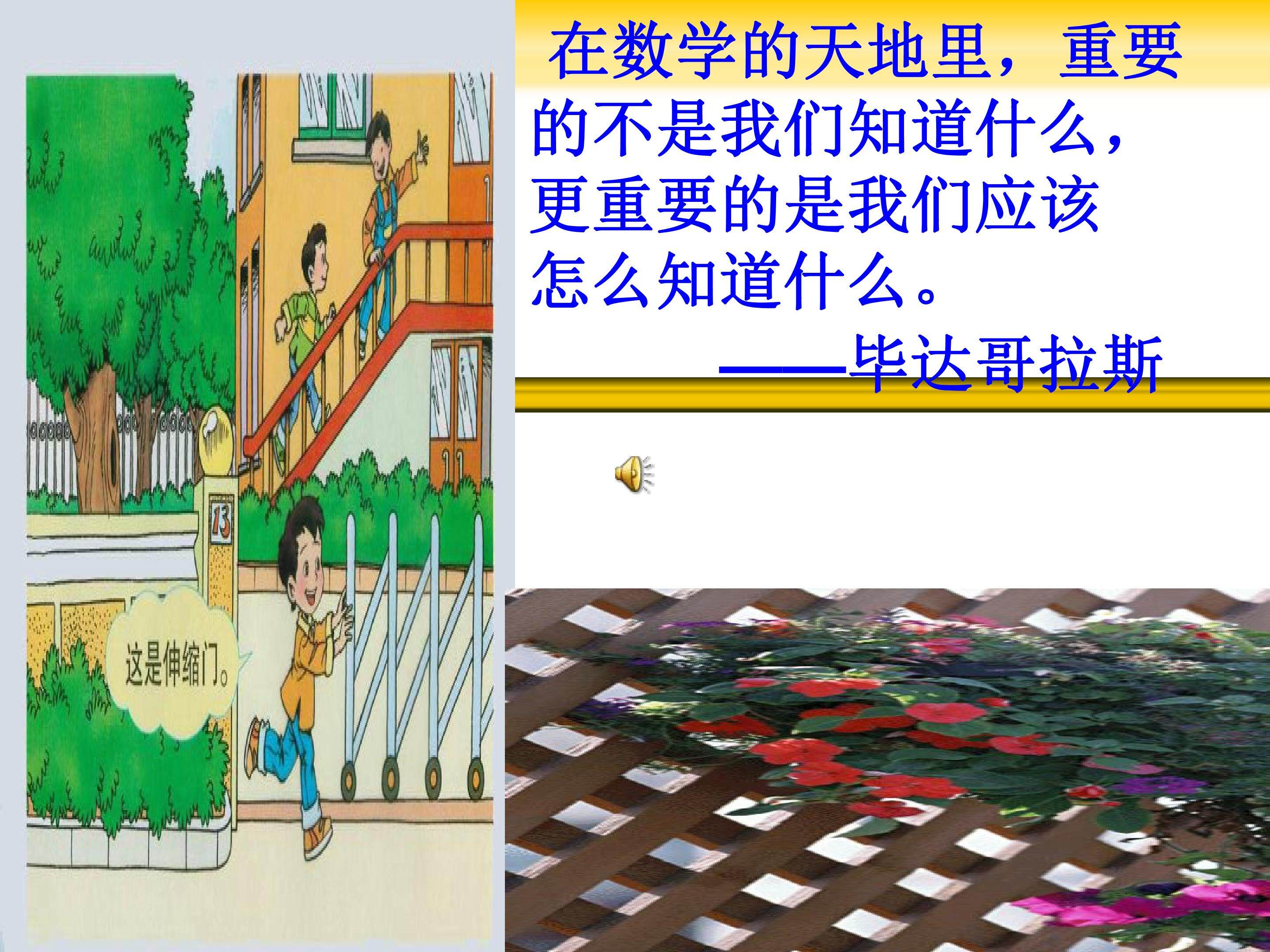 平行四边形的性质