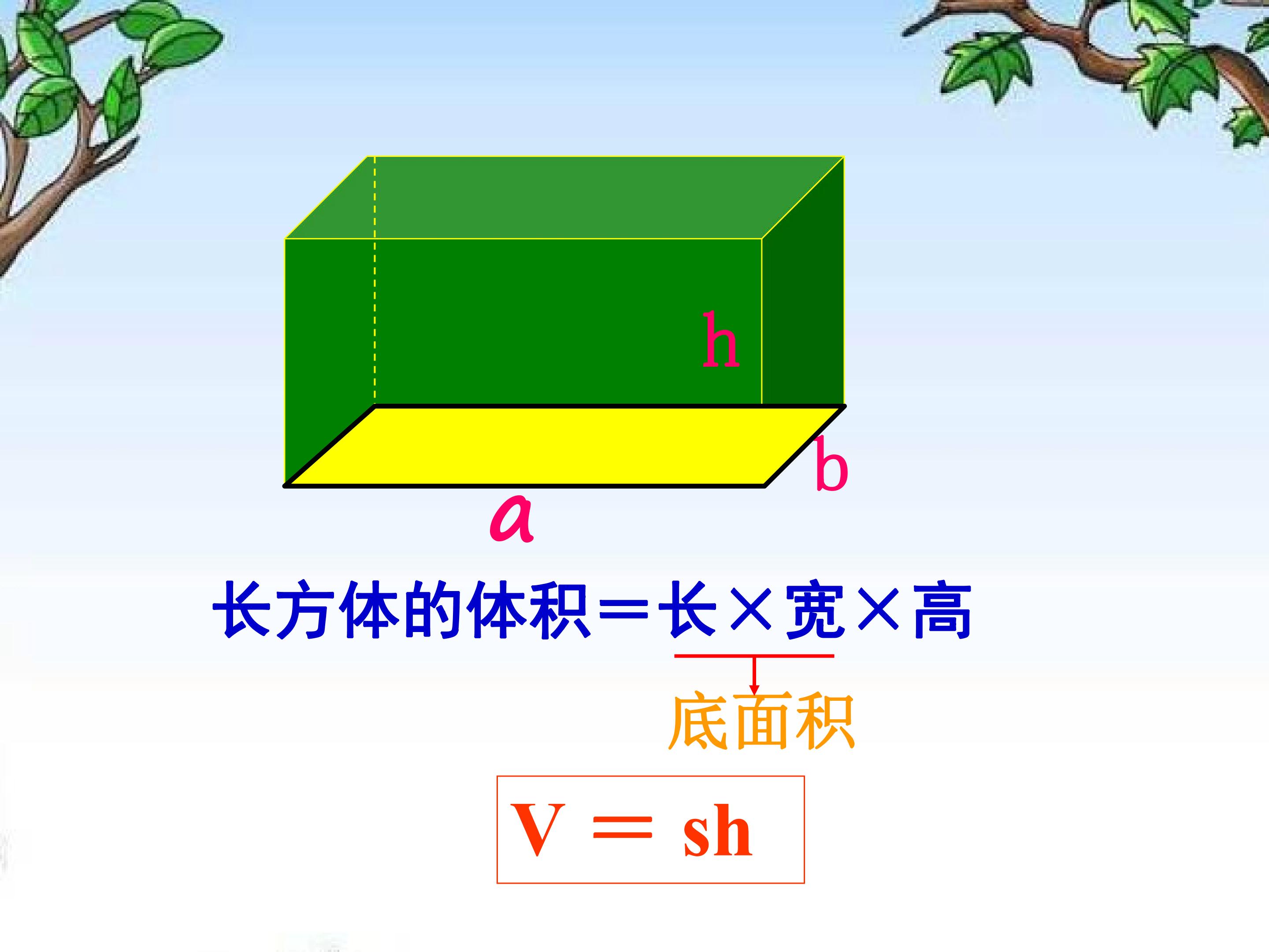 16.jpg