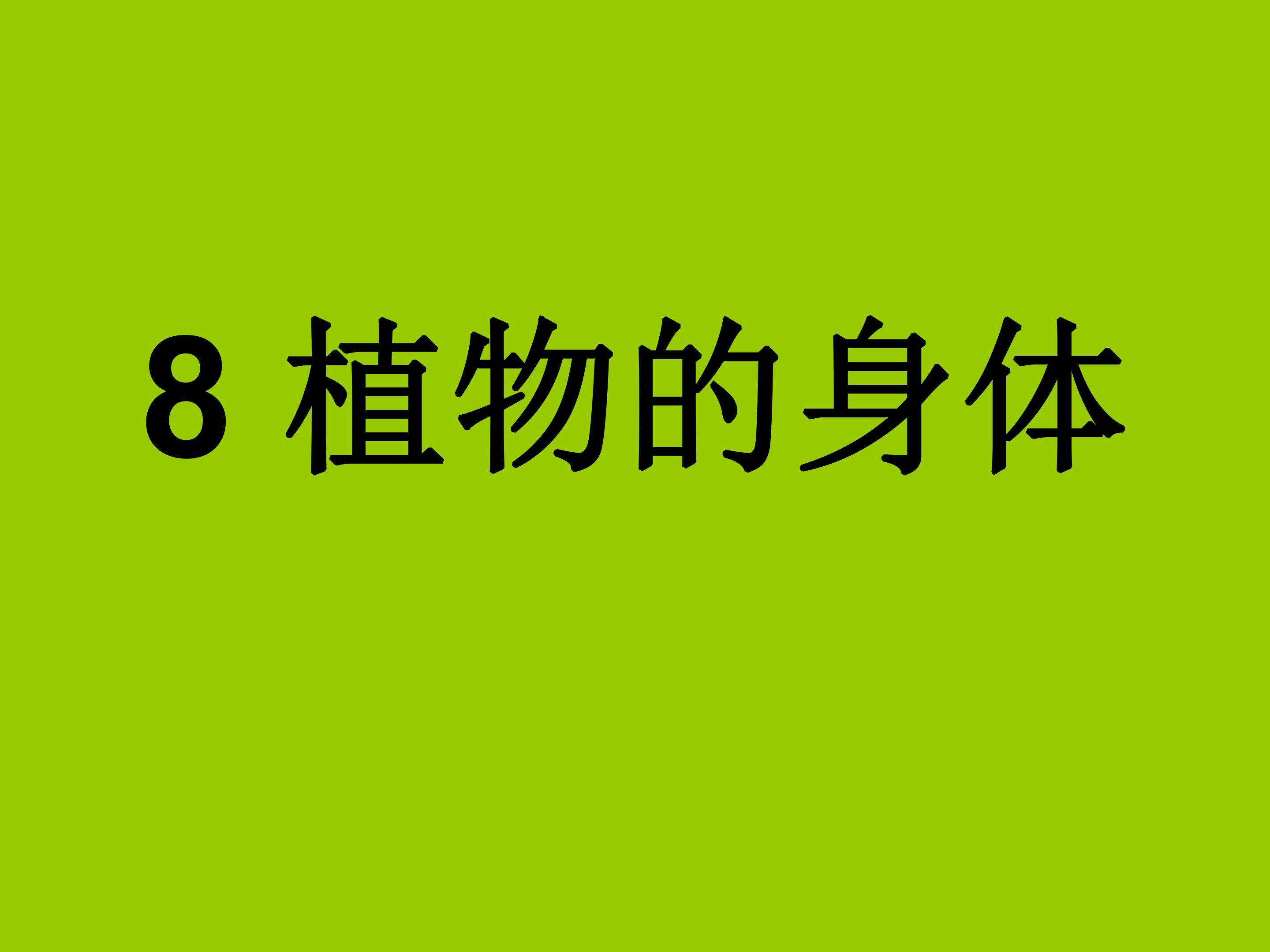 植物体各部分的关系