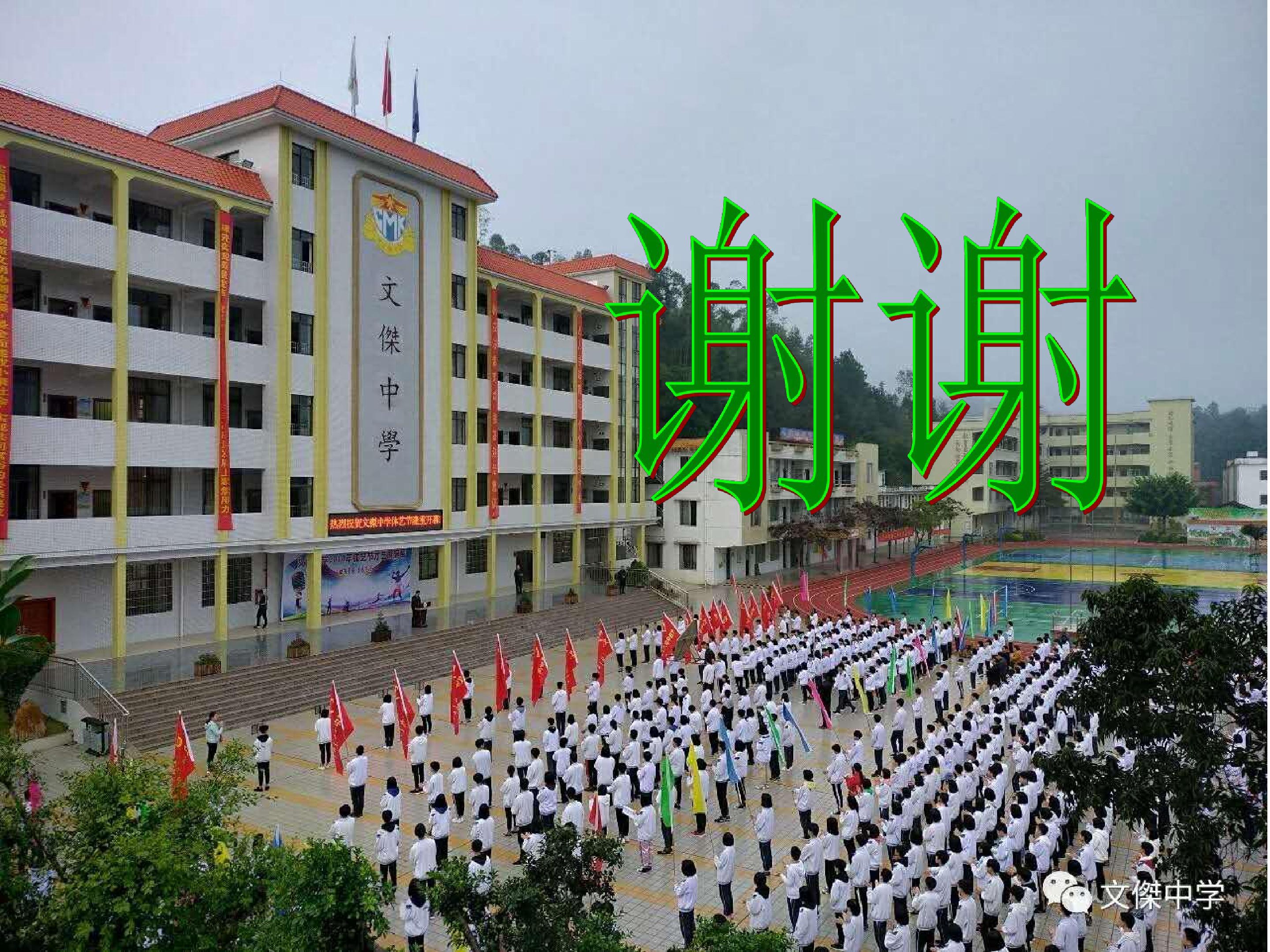 17.jpg