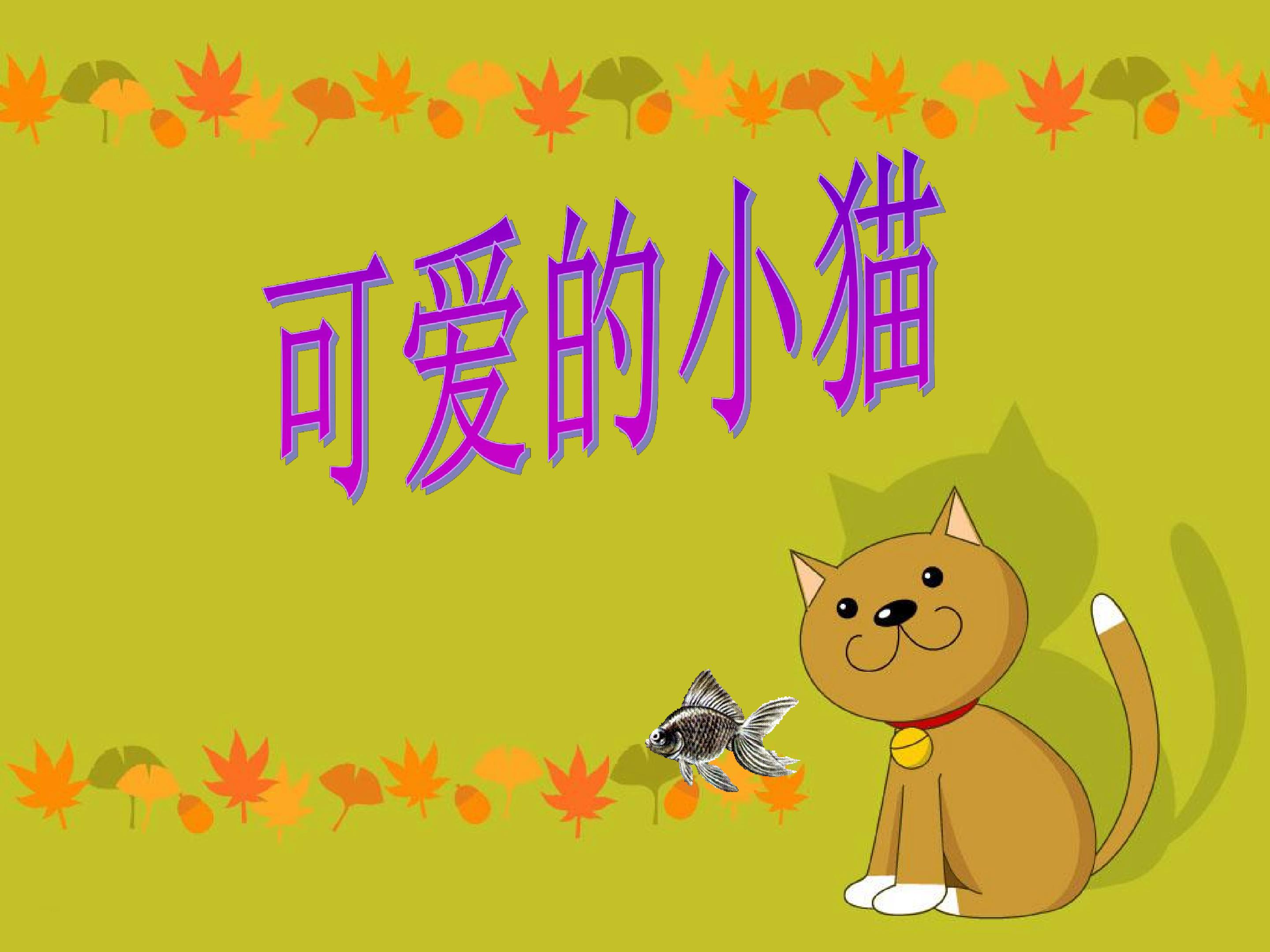 可爱的小猫