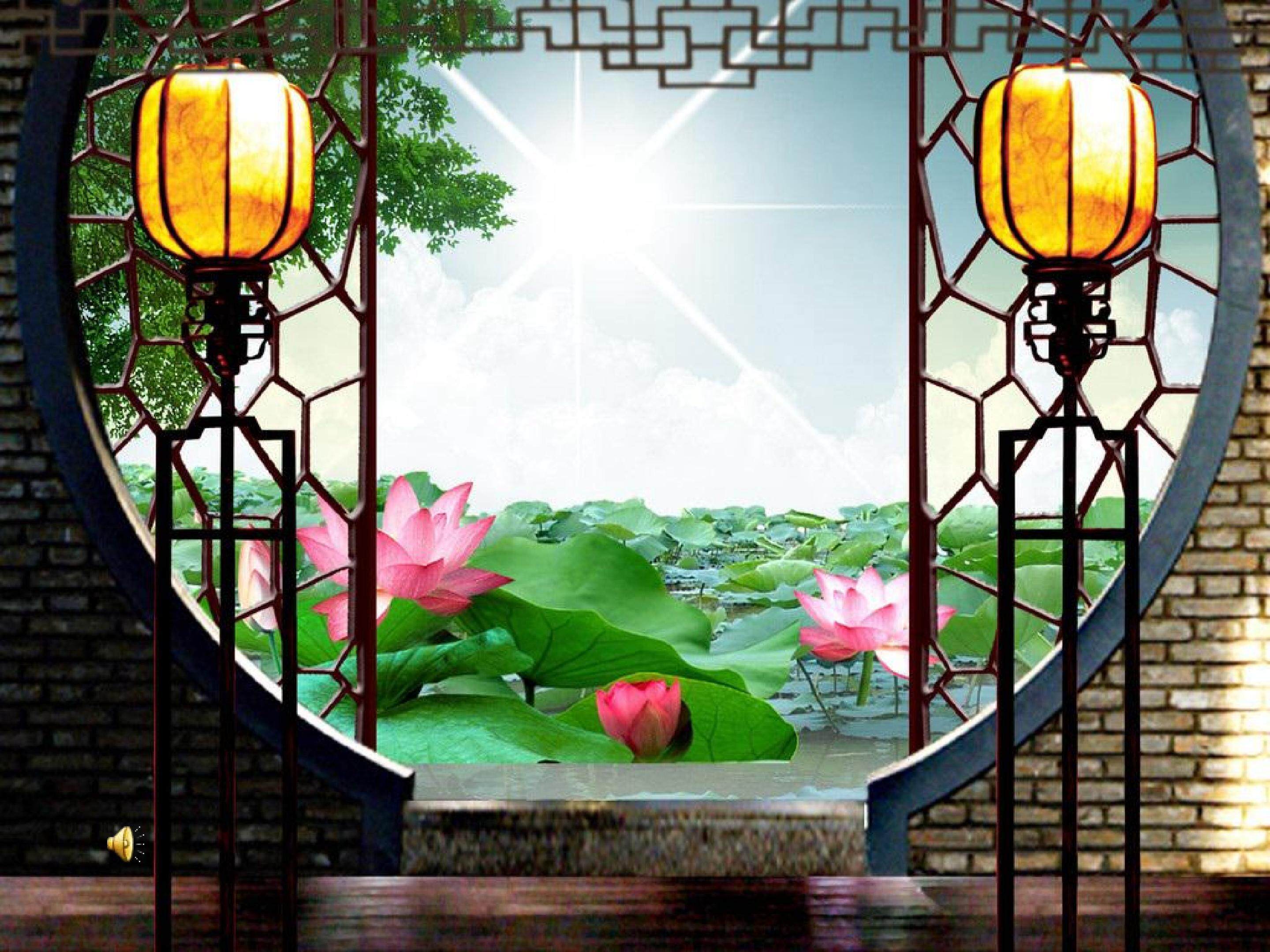 窗外风景