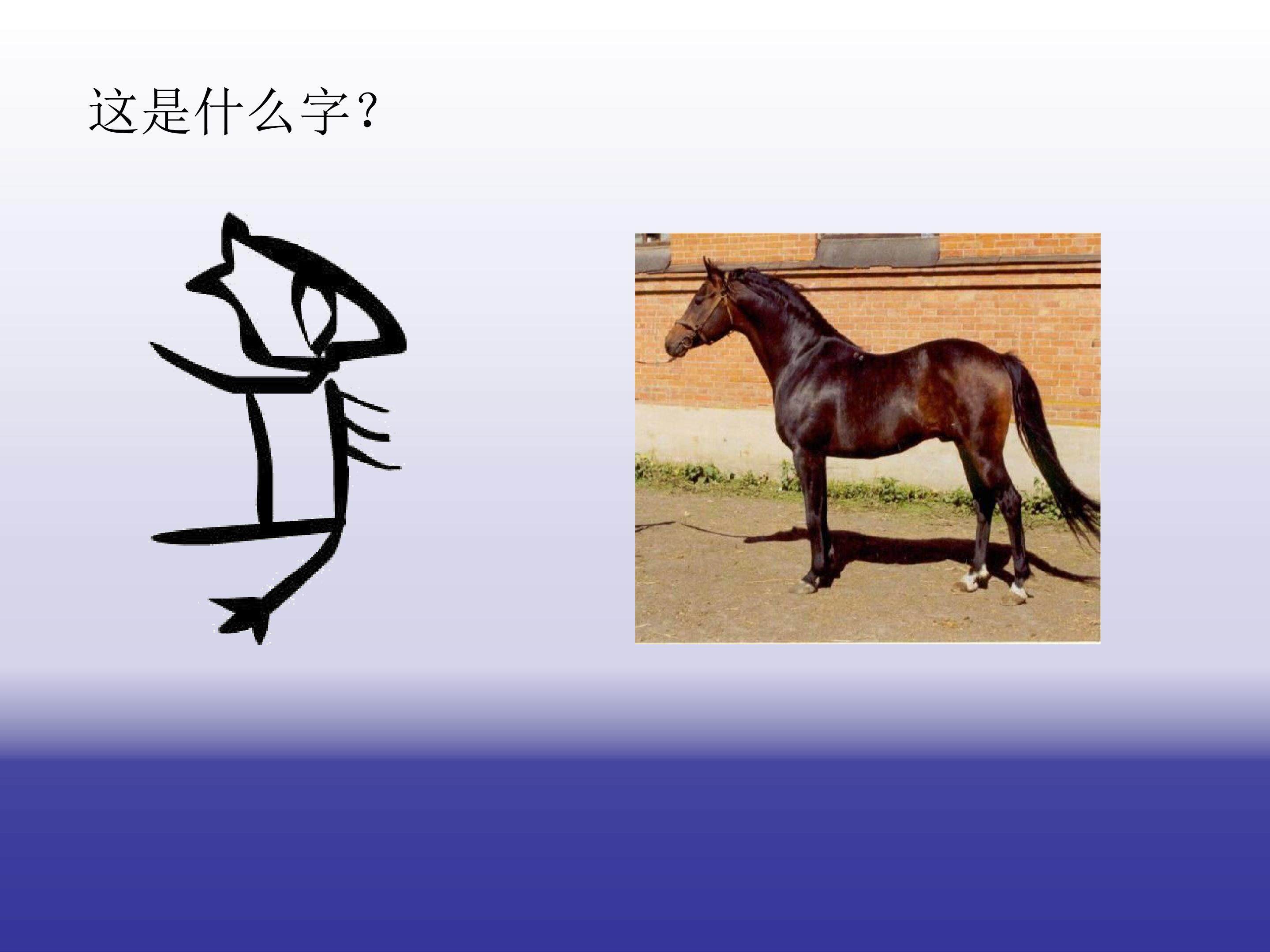 象形文字的联想2