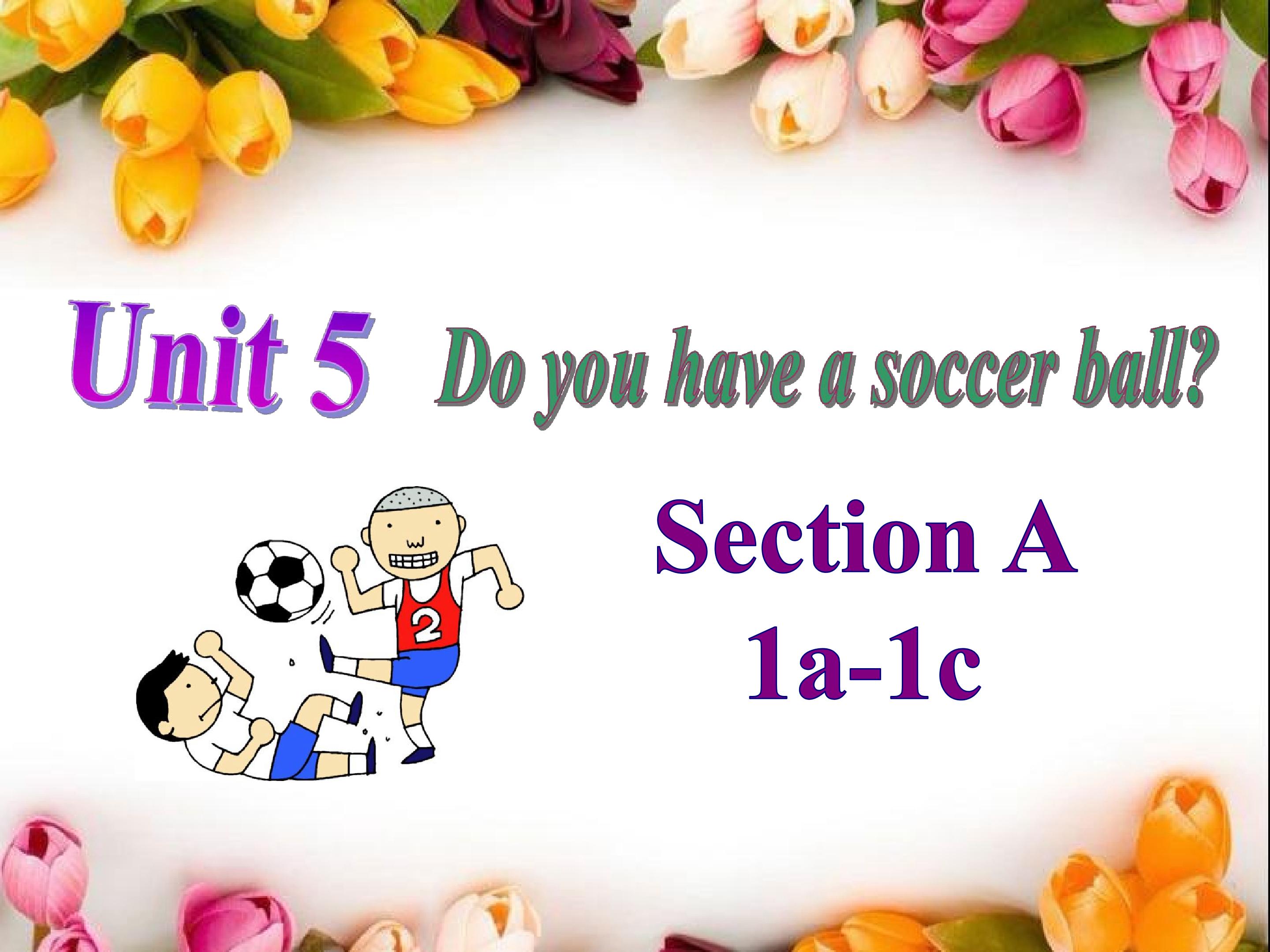 Unit 5 Do you have a soccer ball?