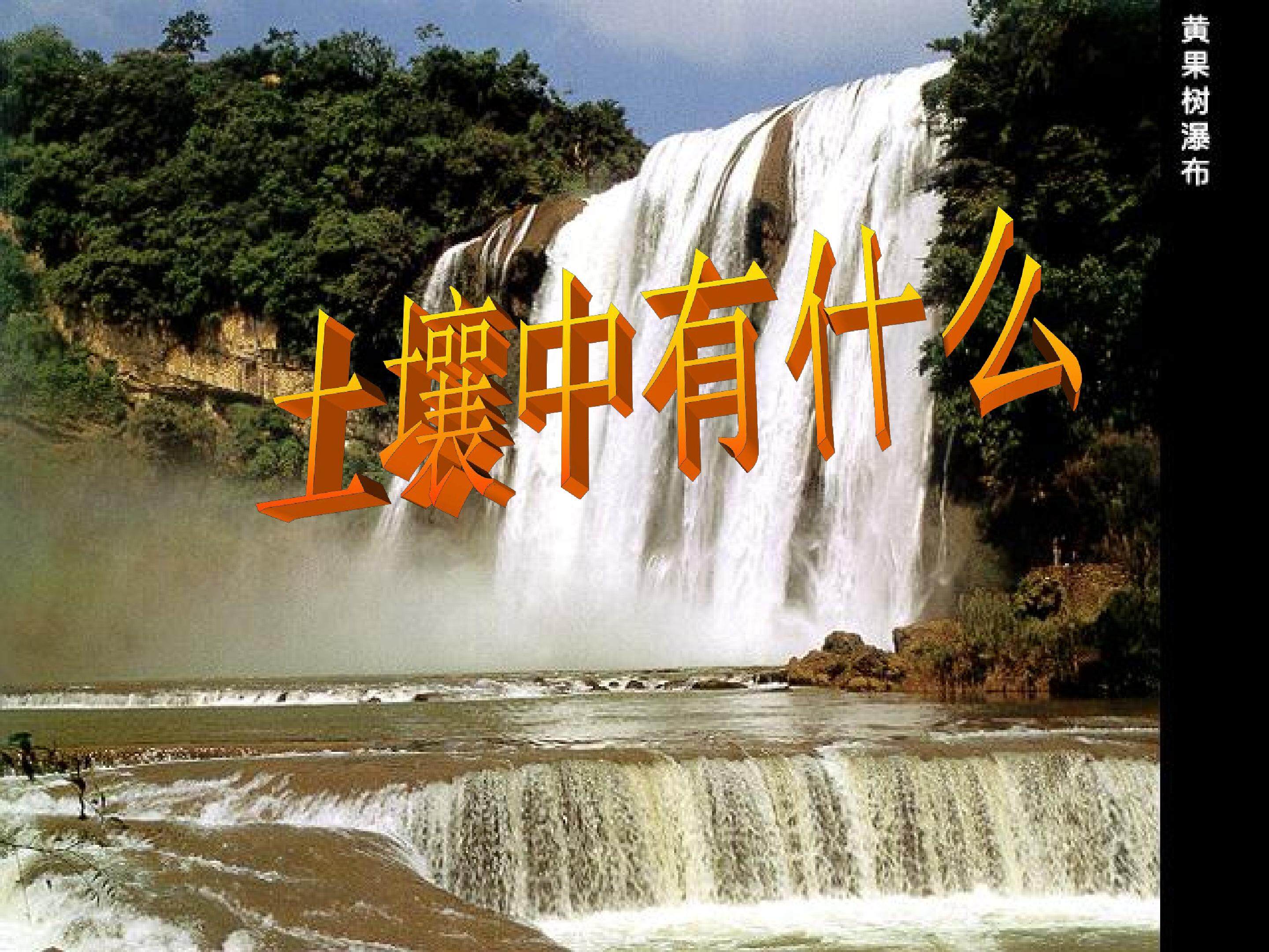 土壤里有什么 (2)