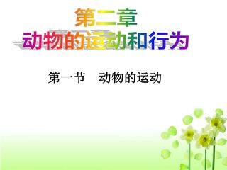 动物的运动 (3)