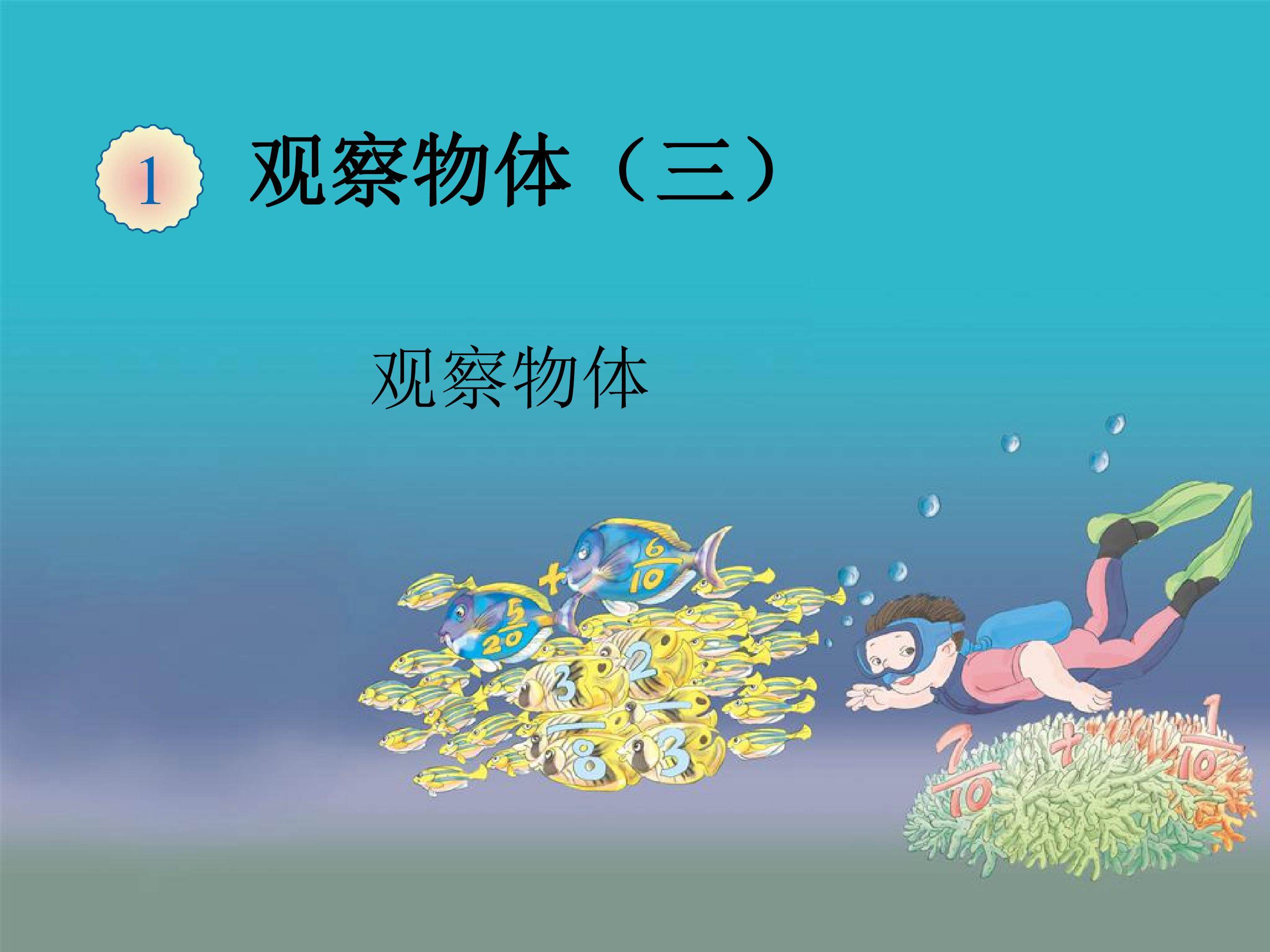 观察物体