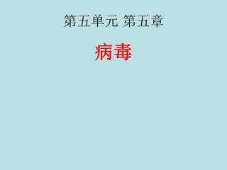 病毒 (5)