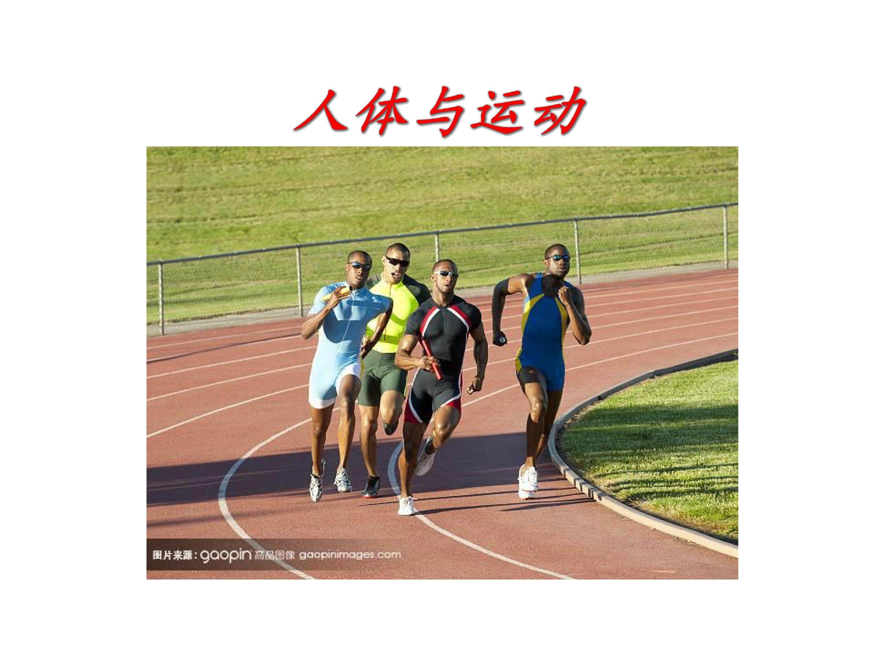 人体与运动
