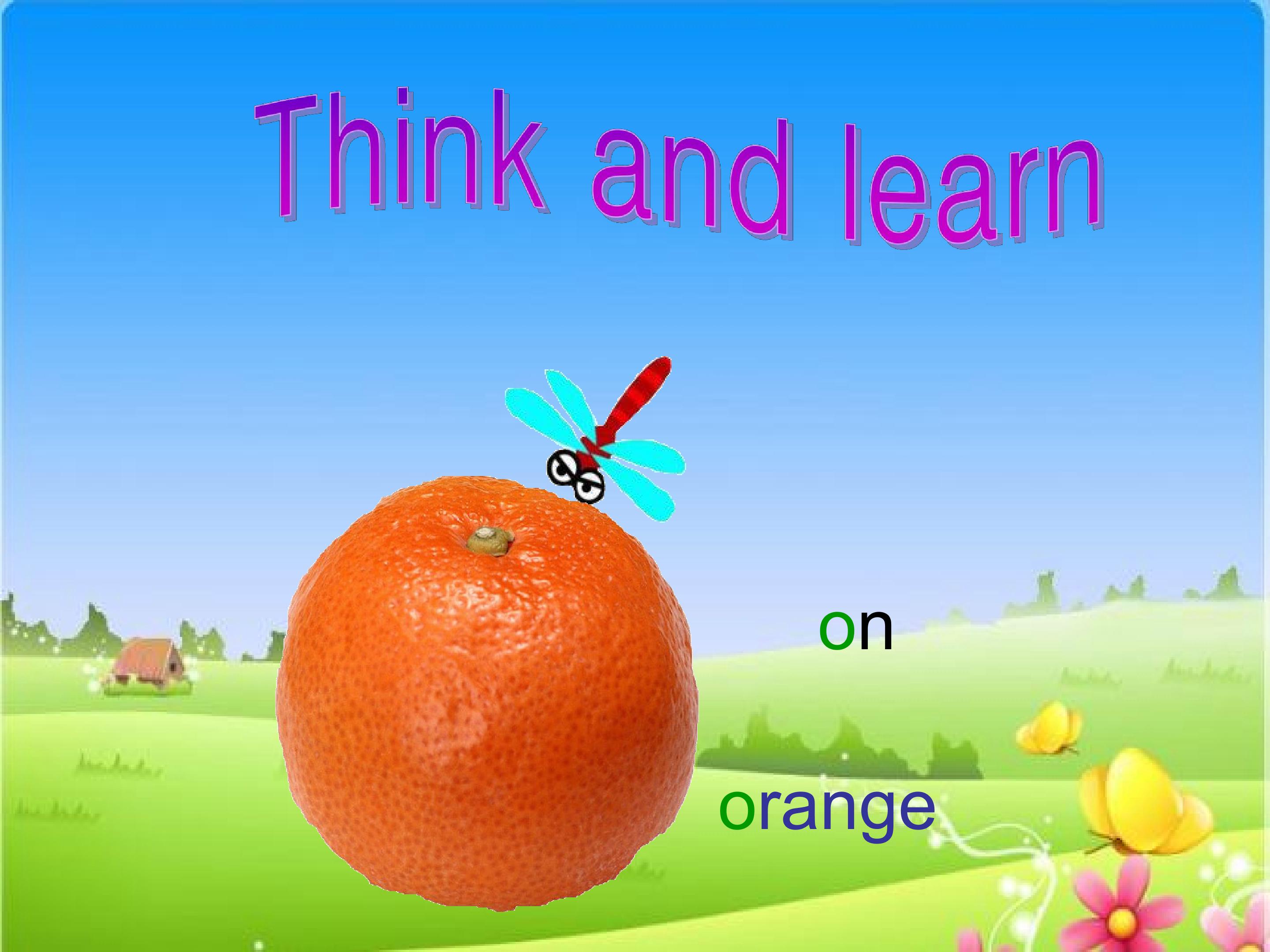 4.jpg