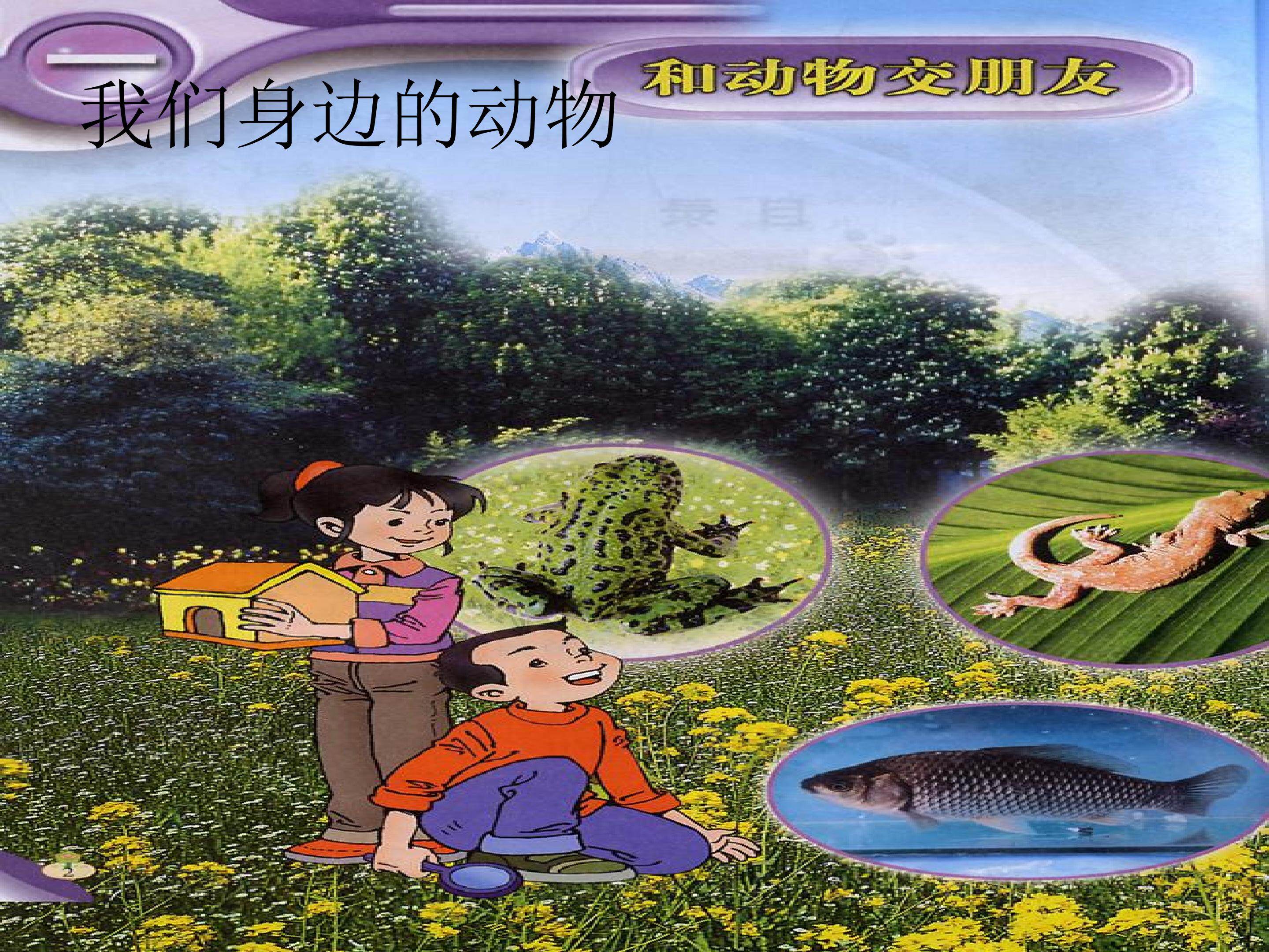 身边的动物 (1)