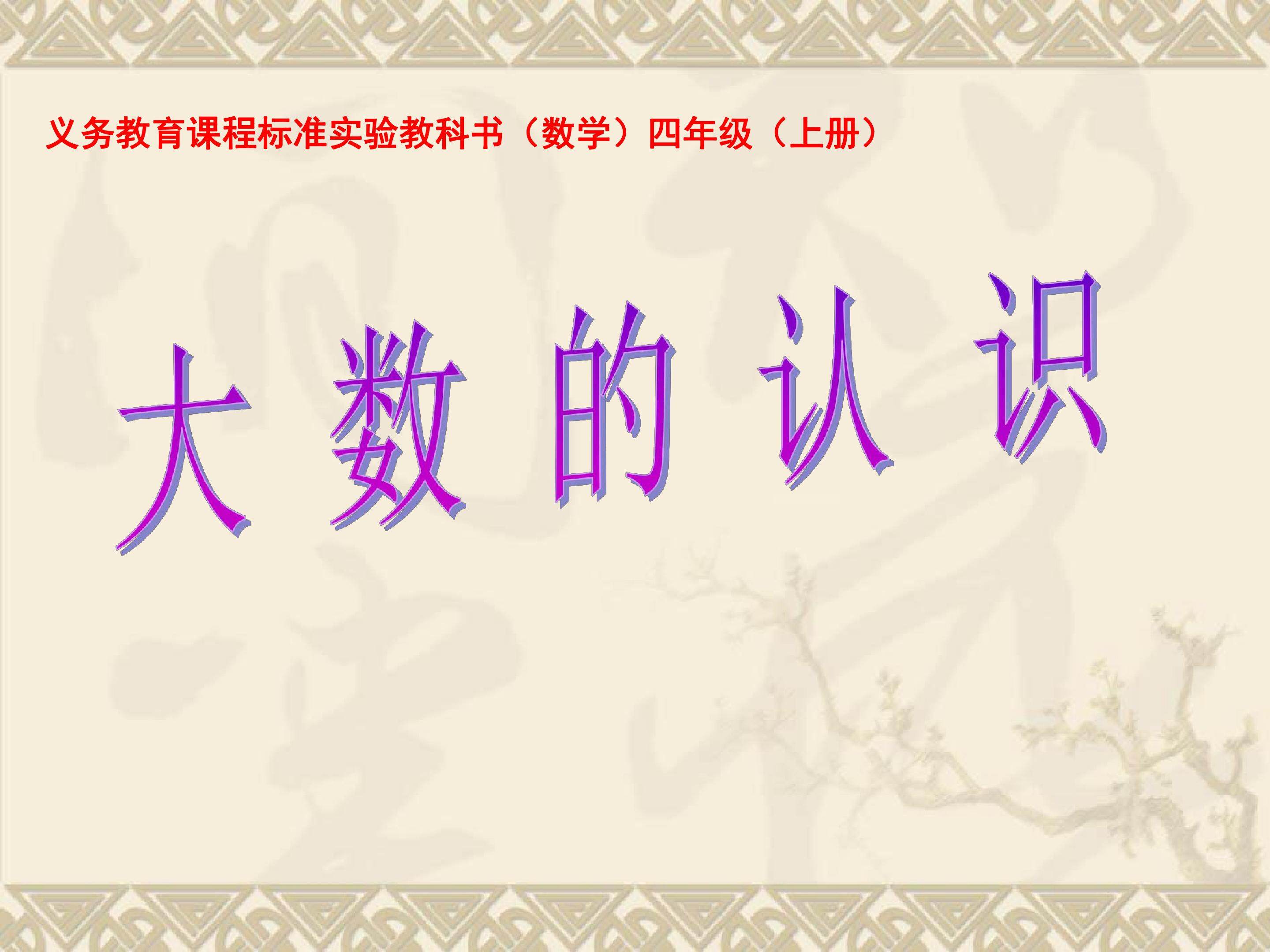 大数的认识