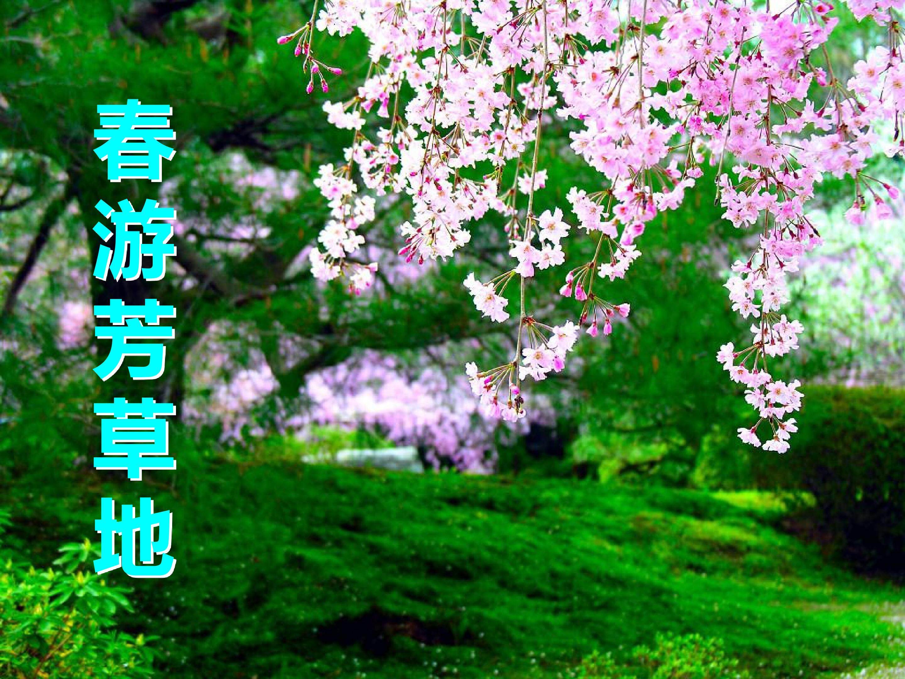 济南的冬天