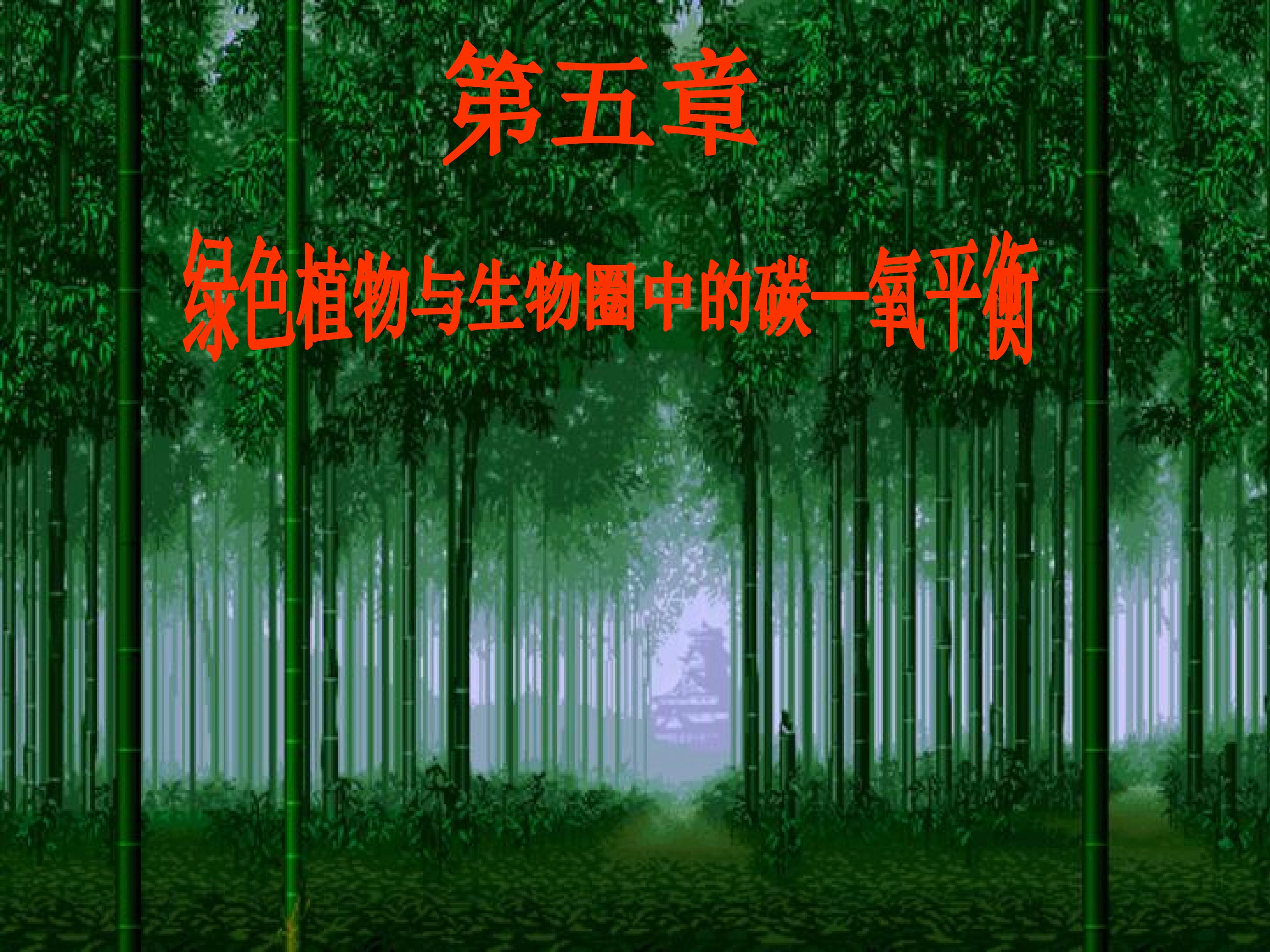 绿色植物与生物圈中的碳—氧平衡