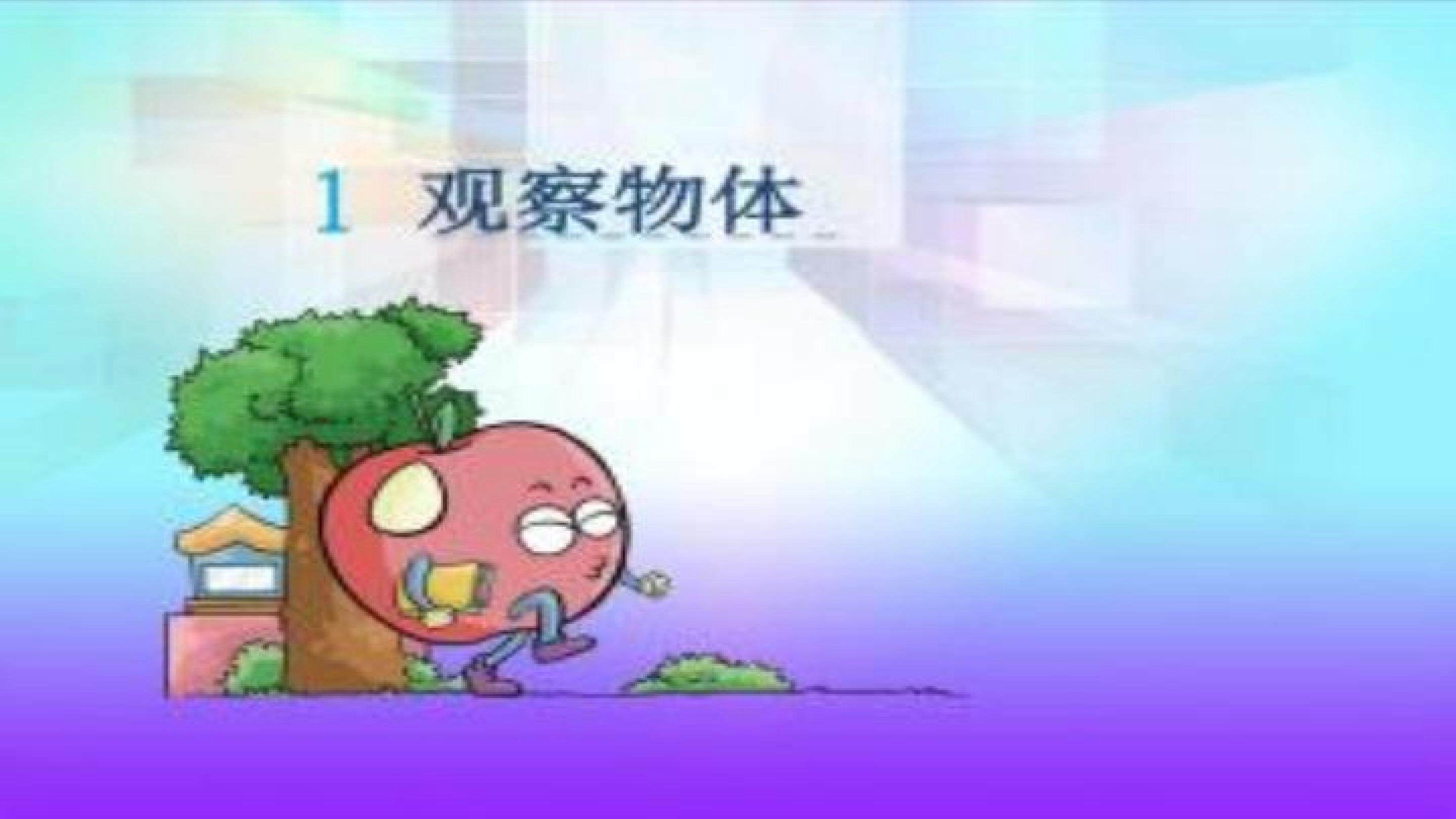 观察物体（二）