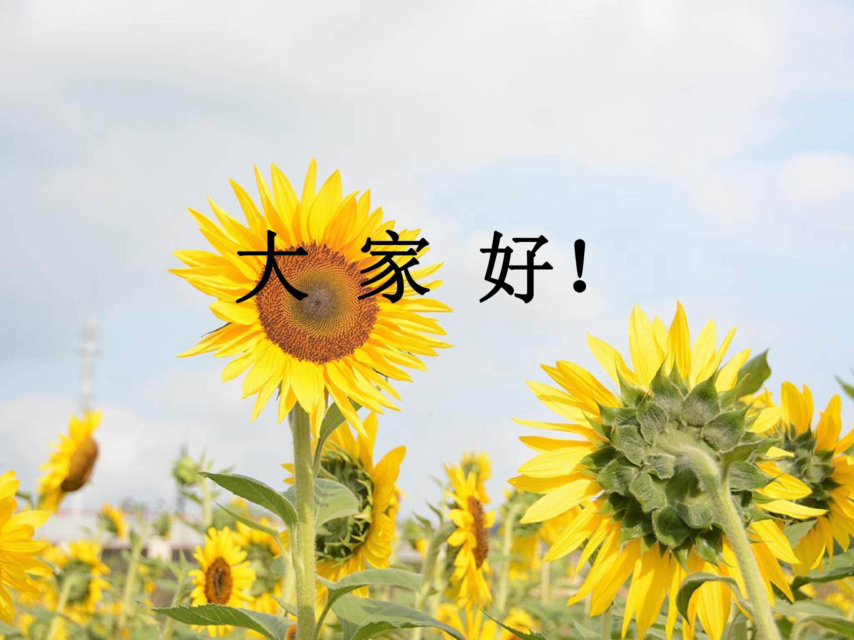 总复习：数的运算——四则混合运算的巩固与提升（课件）