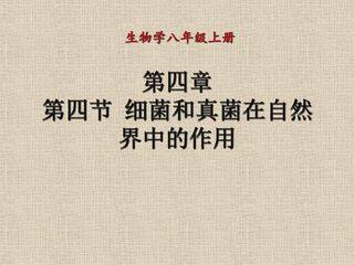 细菌和真菌在自然界中的作用