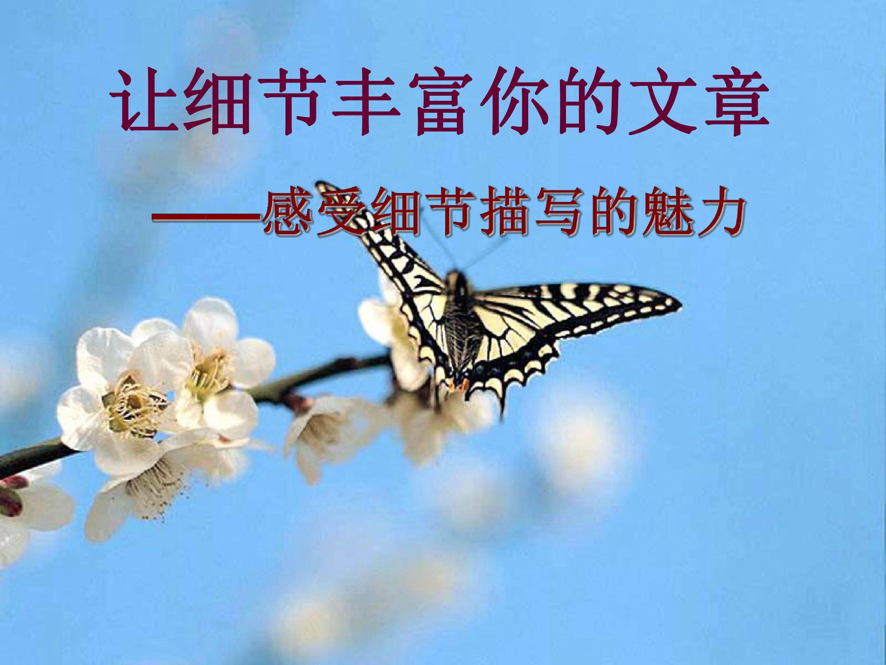 感受细节描写的魅力
