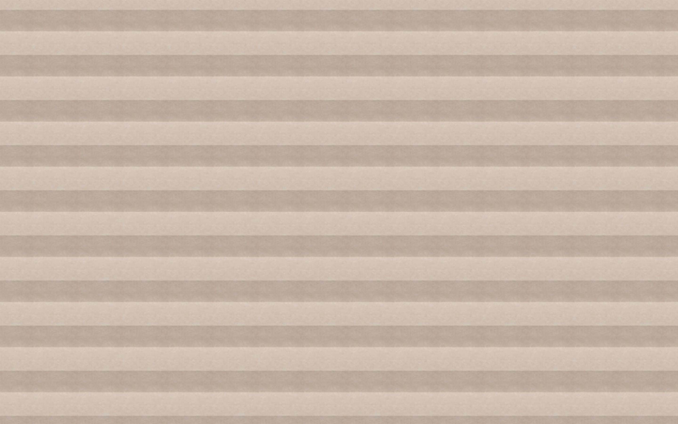 丰富多彩的玩具