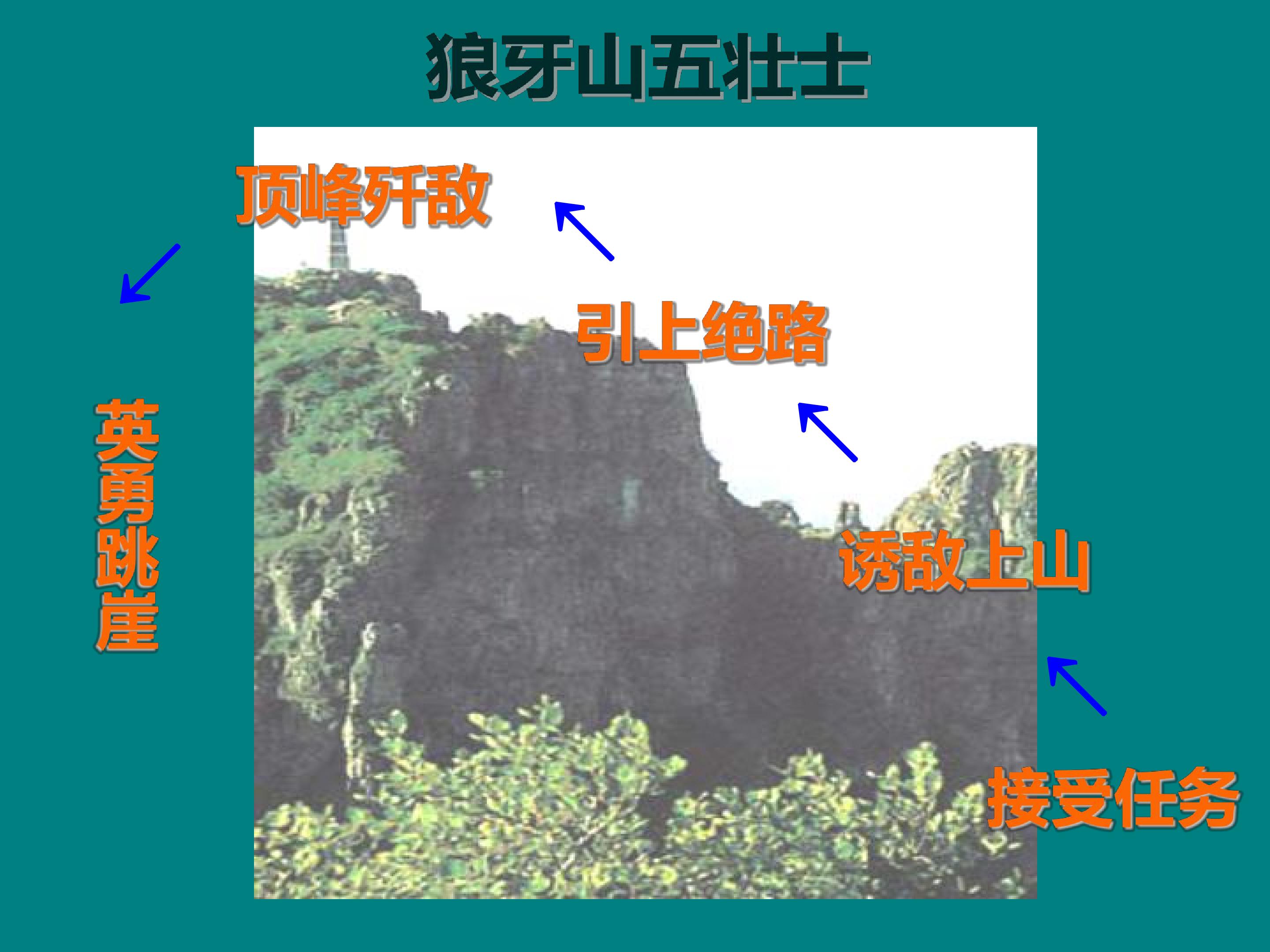 25.jpg