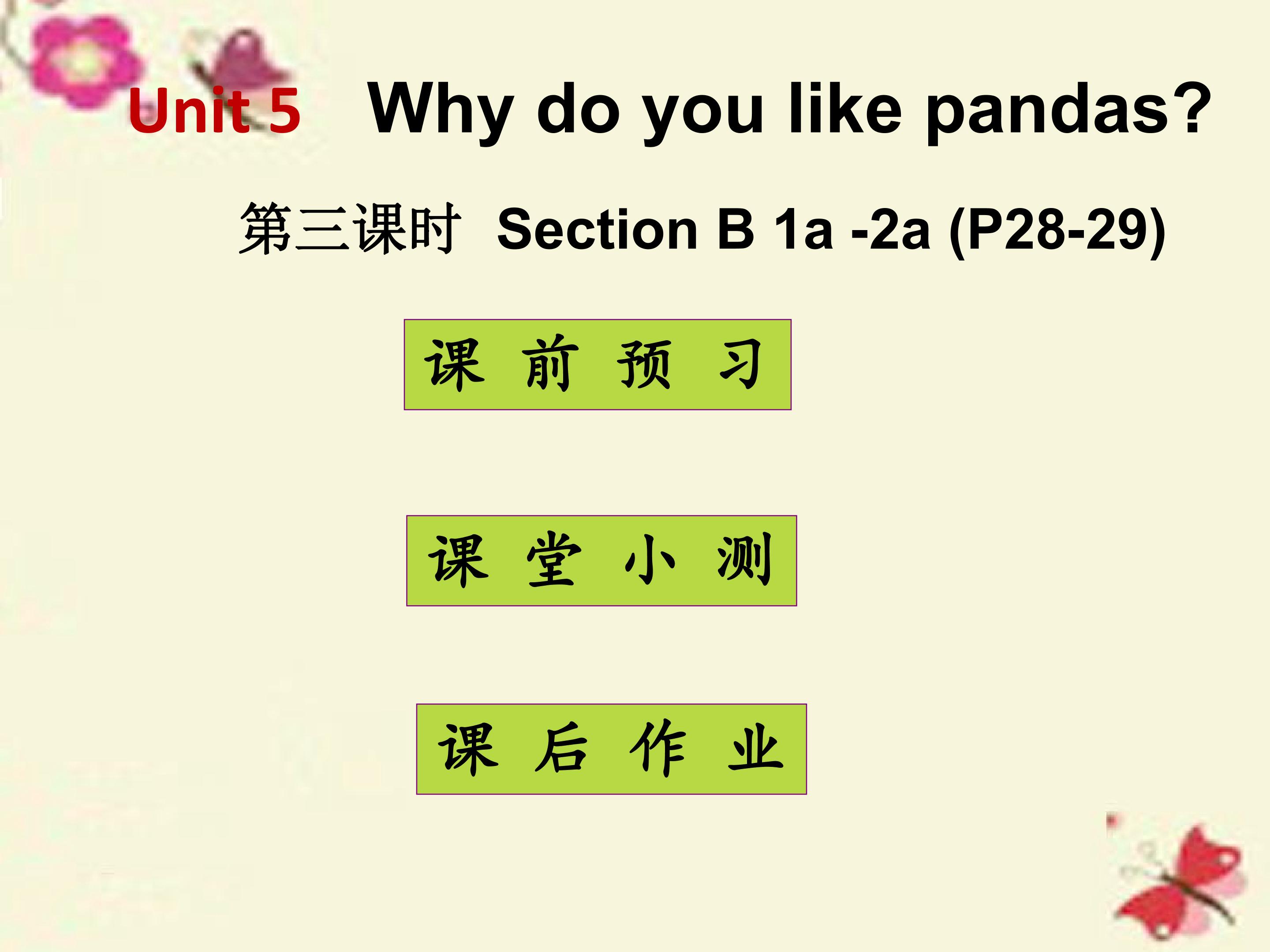 Why do you like pandas Section B