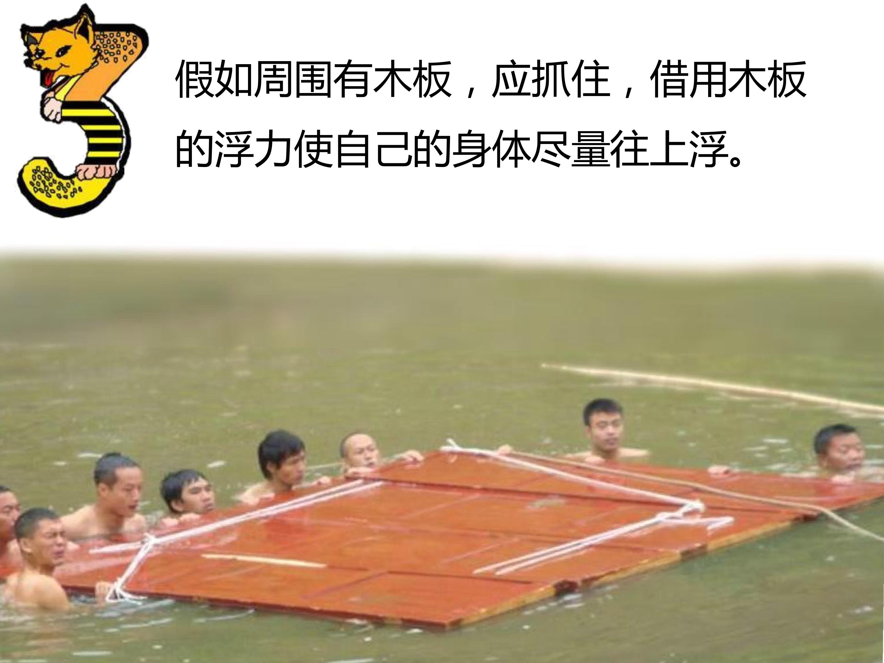 41.jpg