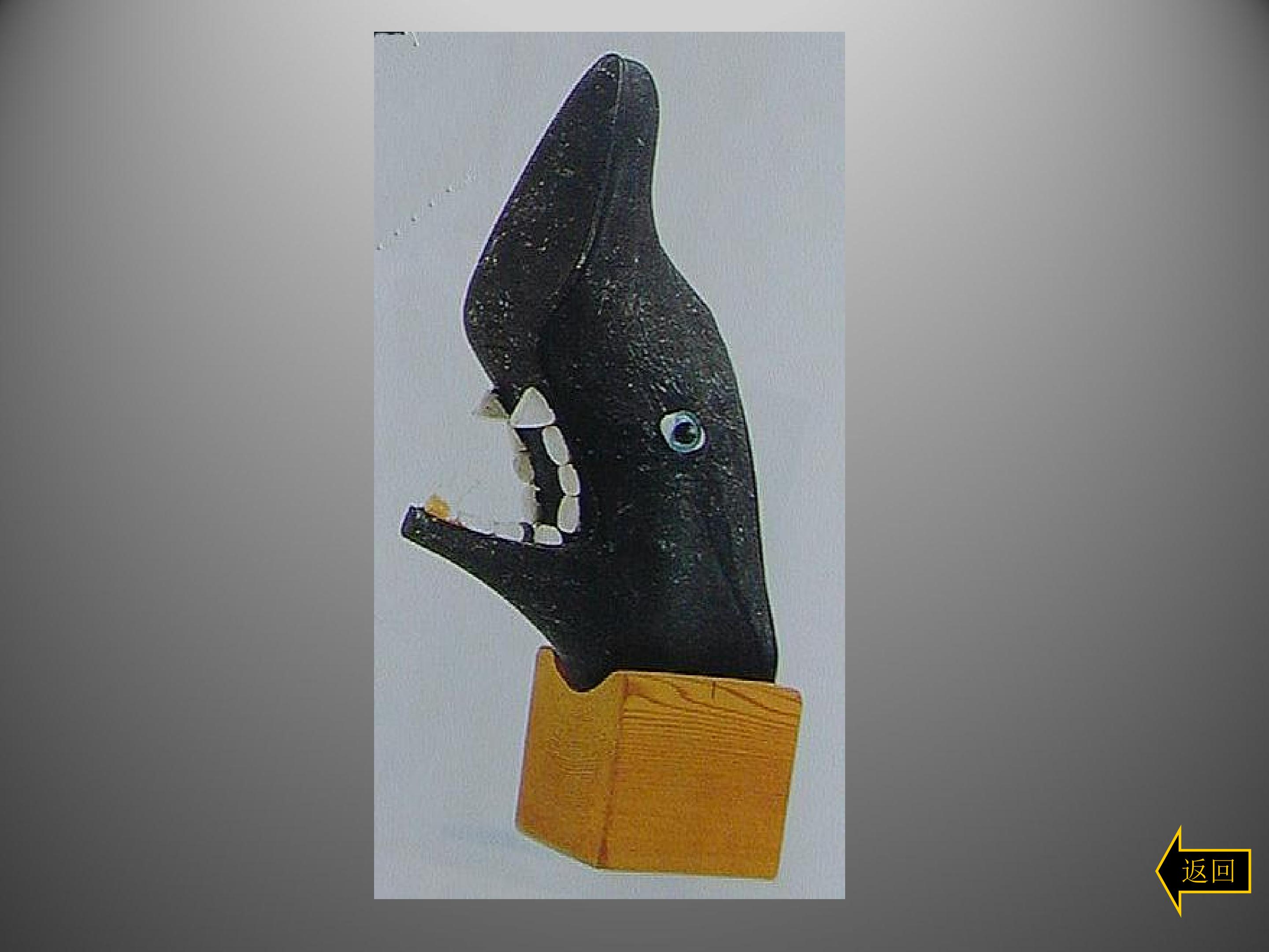 63.jpg